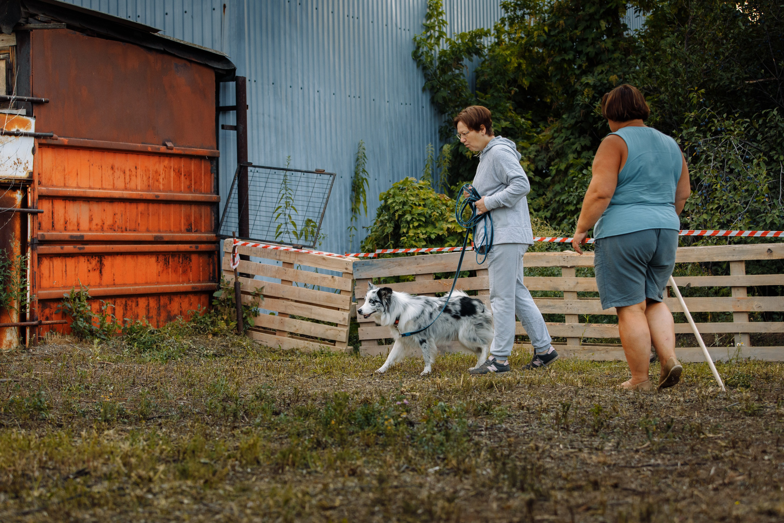 Овечий день. О нас