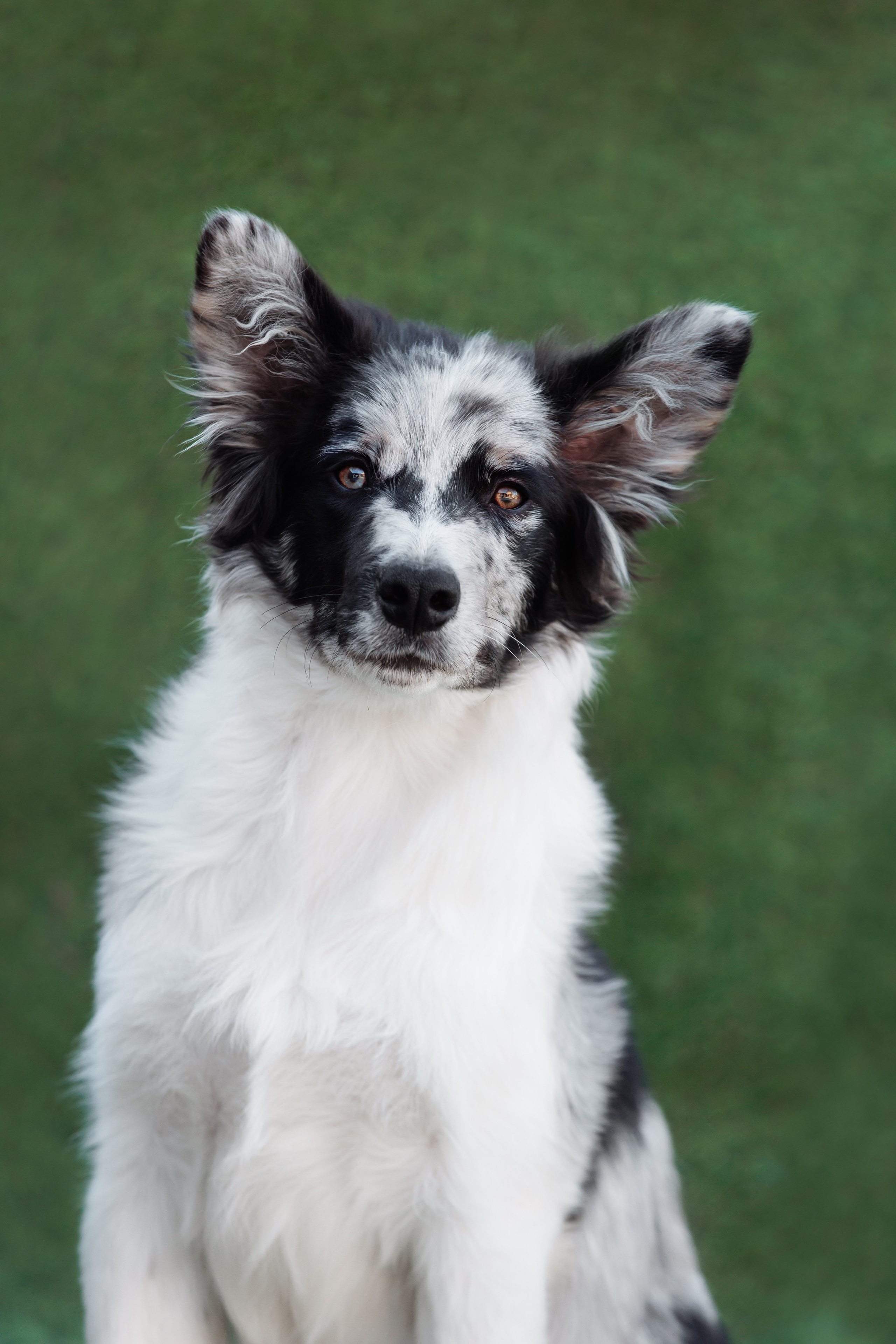 У дома с большой компанией от мала до велика. О нас