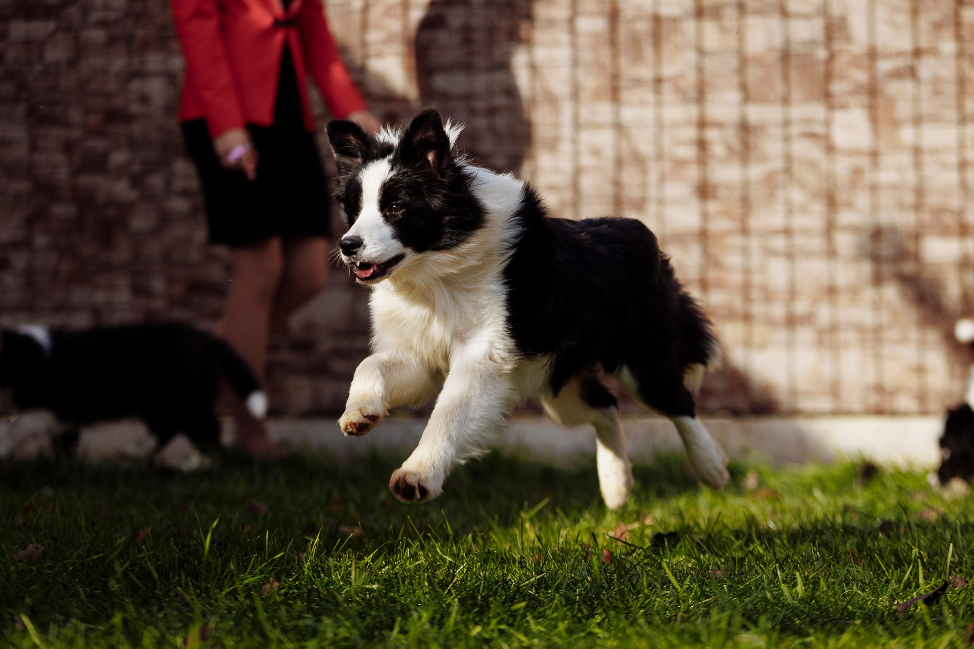 У дома с большой компанией от мала до велика. О нас