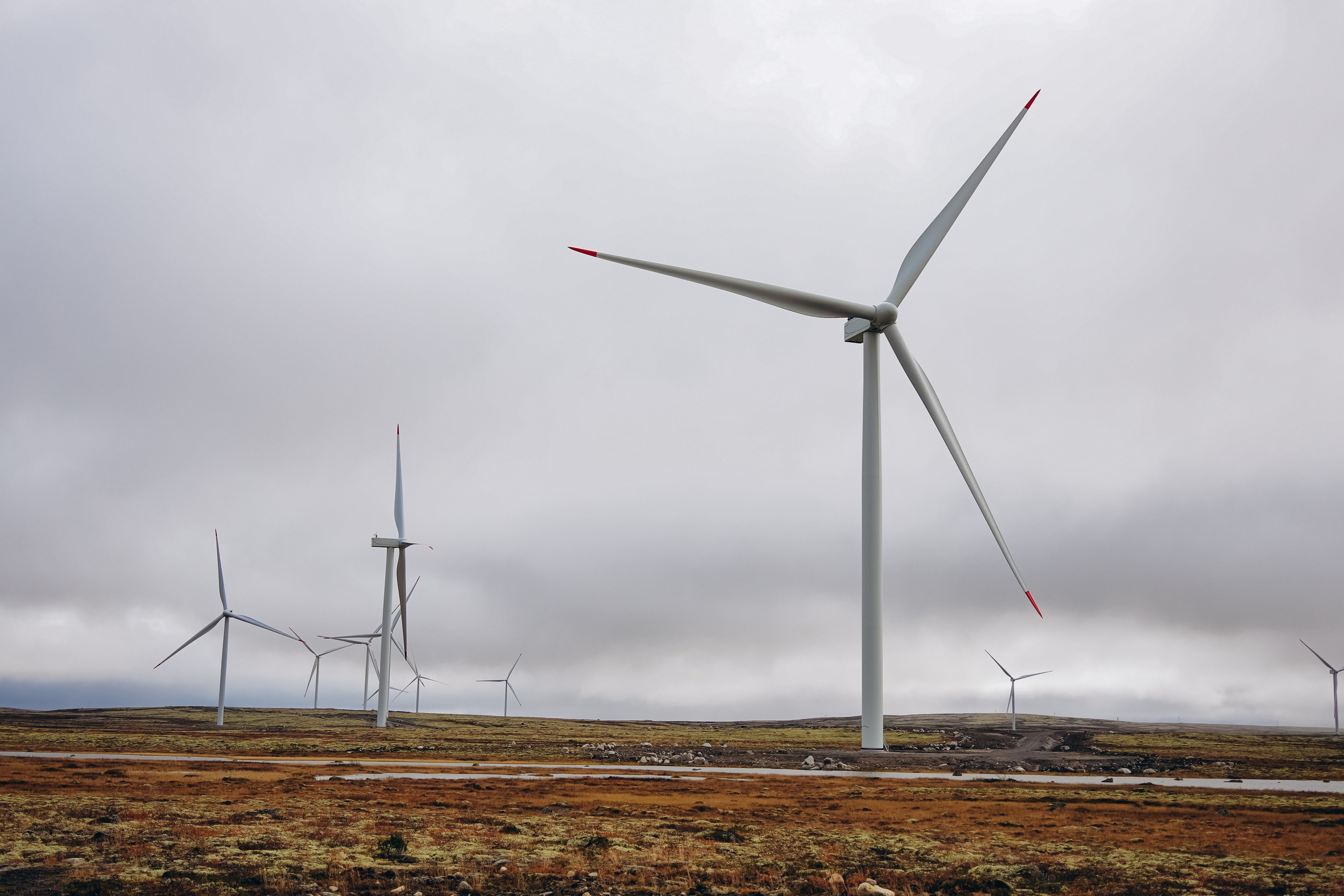 СЕВЕР. Event фотограф Степанова Александра