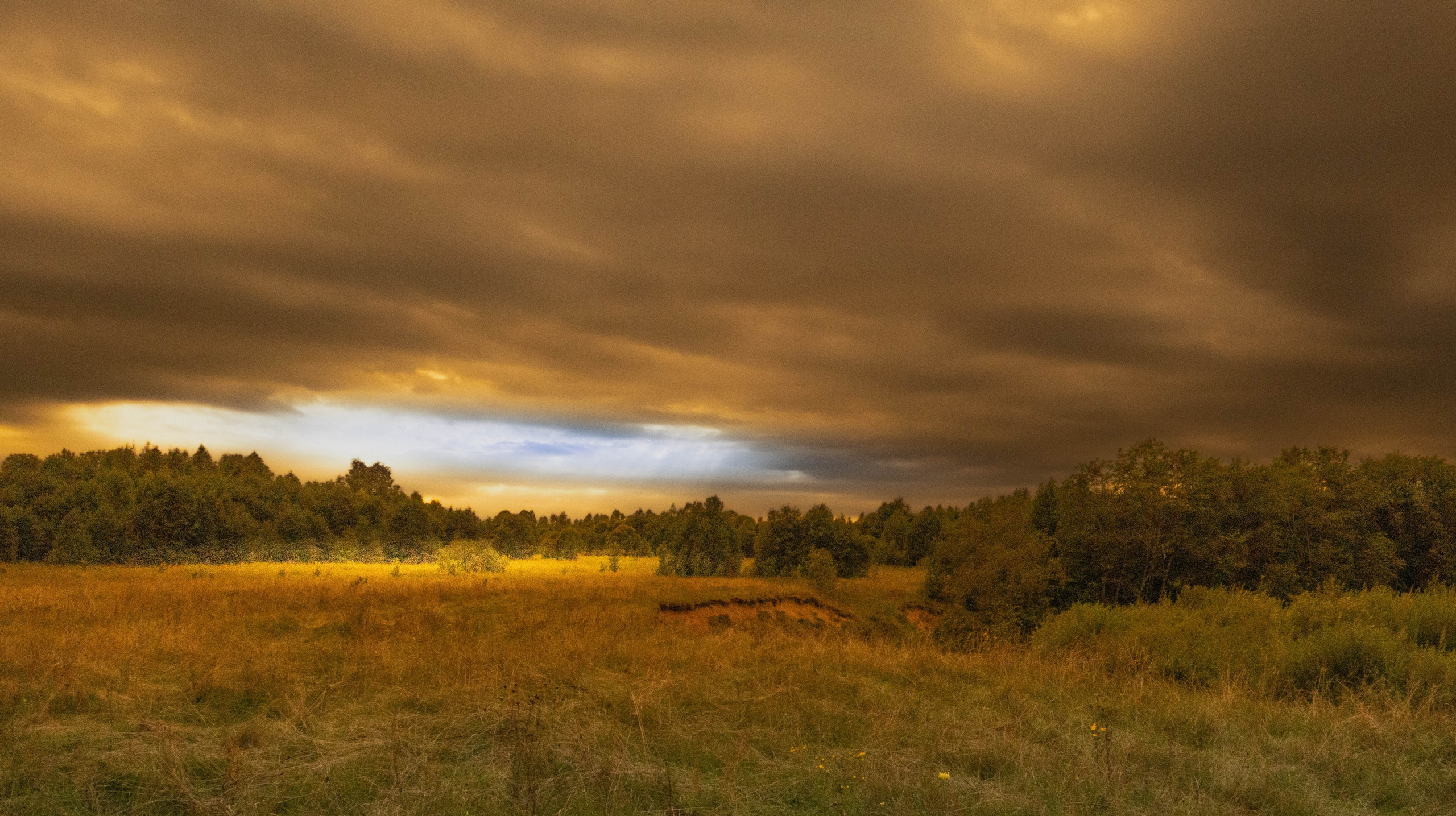ПЛАНЕТА ЗЕМЛЯ (пейзаж). АЛЕКСЕЙ КОЛМАКОВ. Фотограф. Москва и Московская область