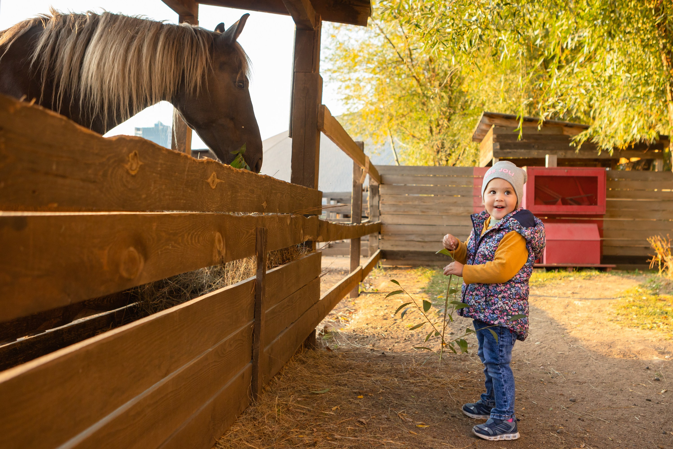 Фотосессия в конном клубе Воздух. Фотограф в Оренбурге. Профессиональный фотограф