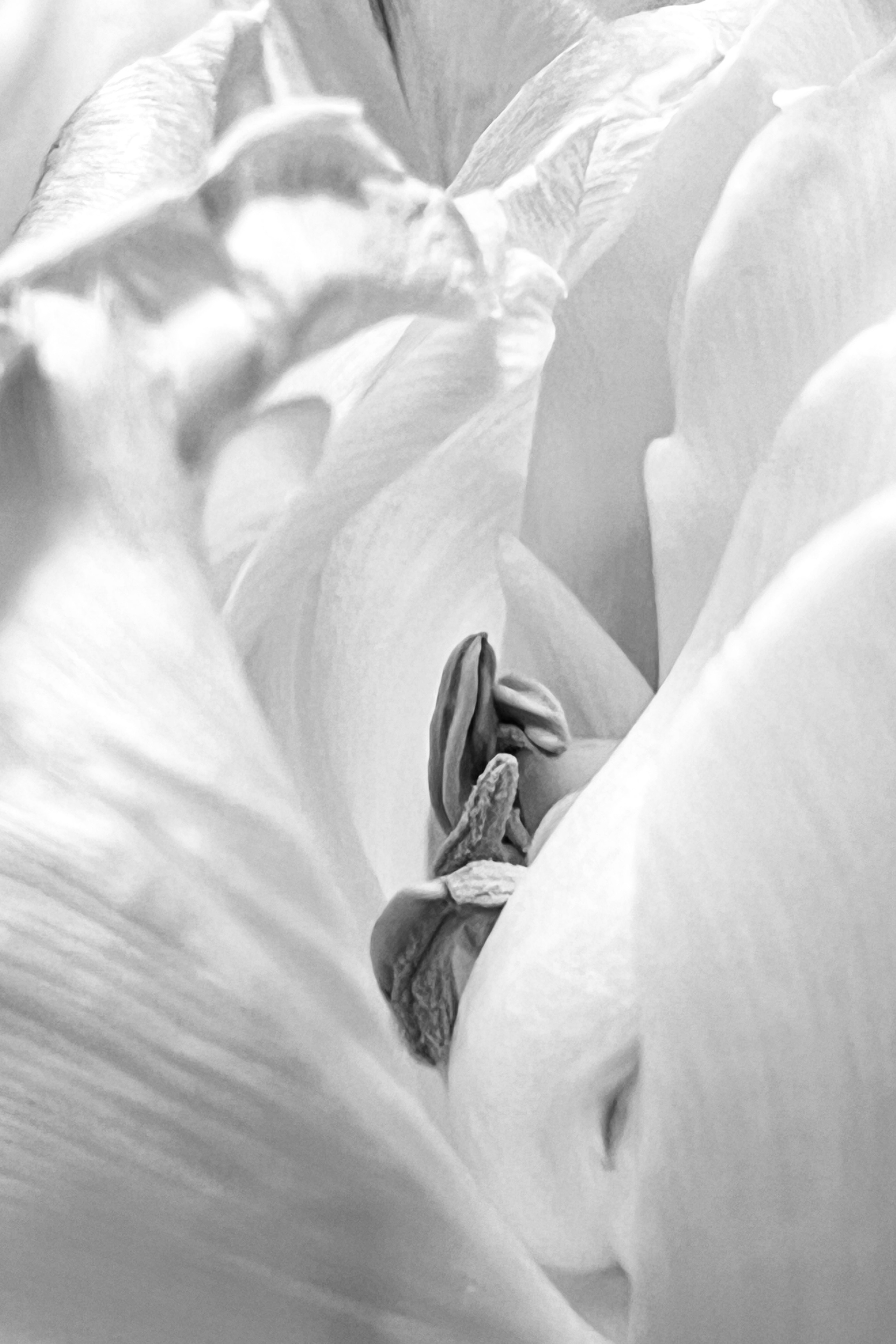 Женский портрет. Екатерина Денисова, фотограф, Москва