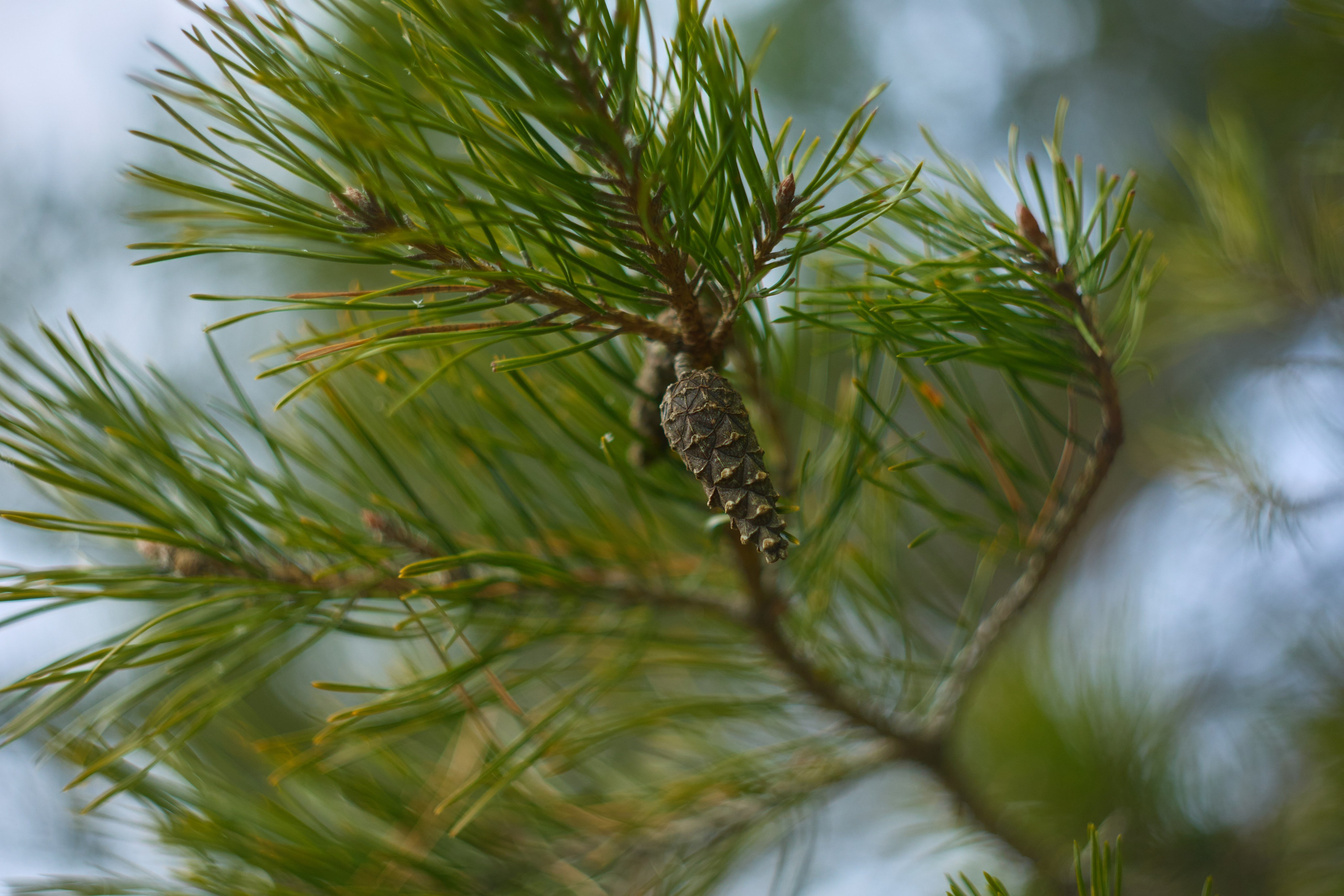Пейзажная фотосъемка. Владимир Суздалов (ProMaXe) — Портретный фотограф, тематические фотосессии в Чебоксарах