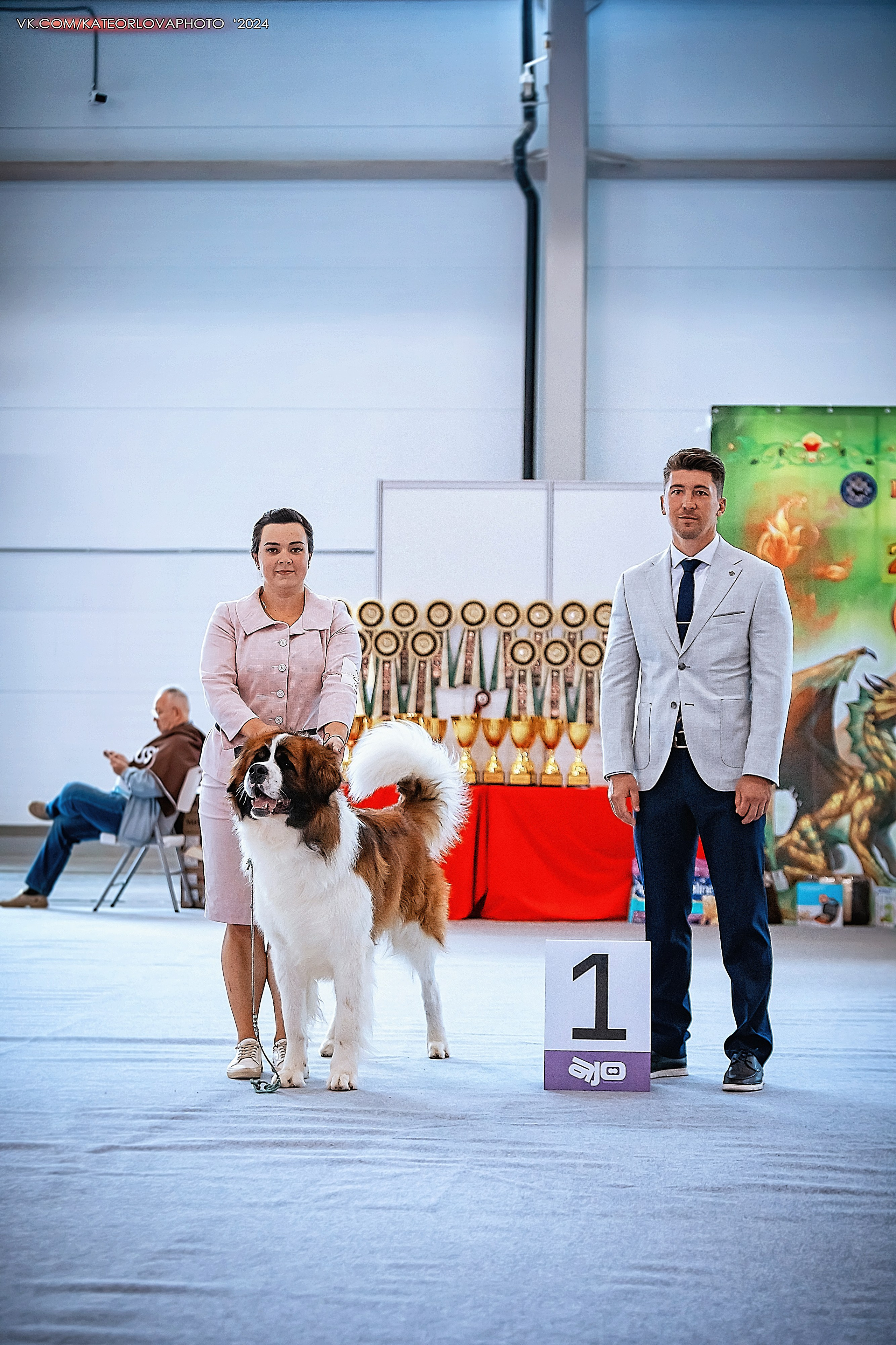 Фотосъемка собак, щенков, на выставках, фотограф анималист Россия воронеж. Питомник собак Акита, Хаски, Корги