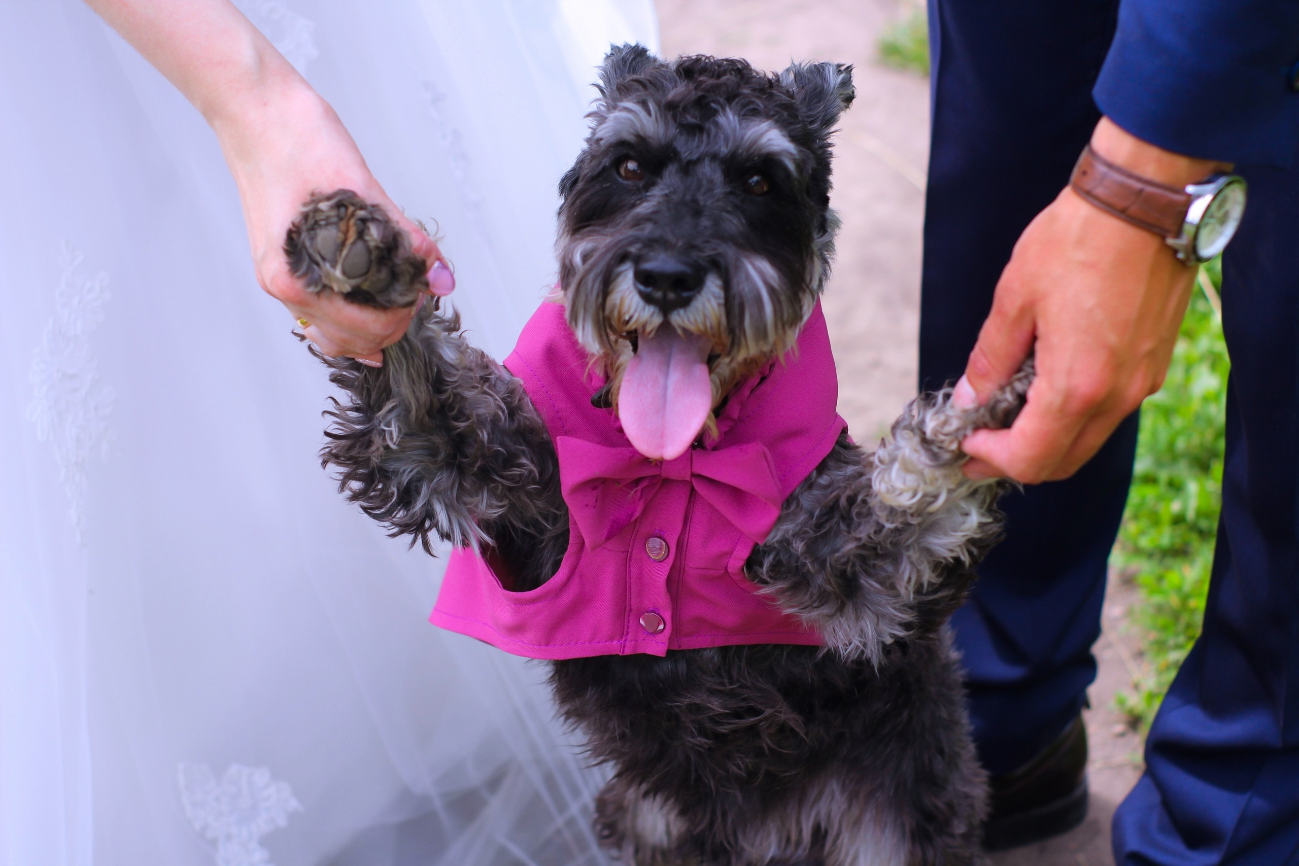 Что-то про любовь. Фотограф Евгения Рай