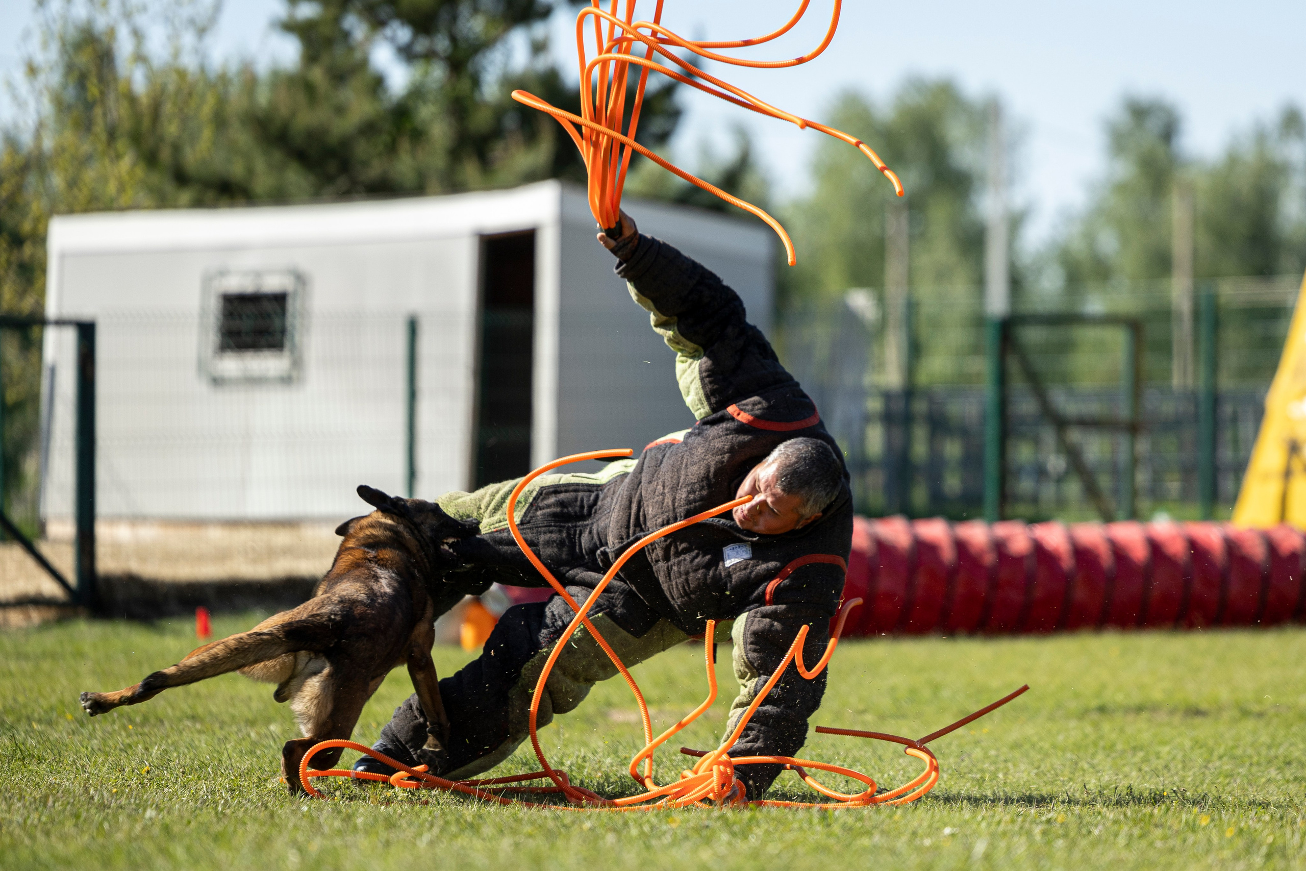 Испытания по мондьорингу в Нижнем Новгороде. Фотограф-анималист Анна Маринич