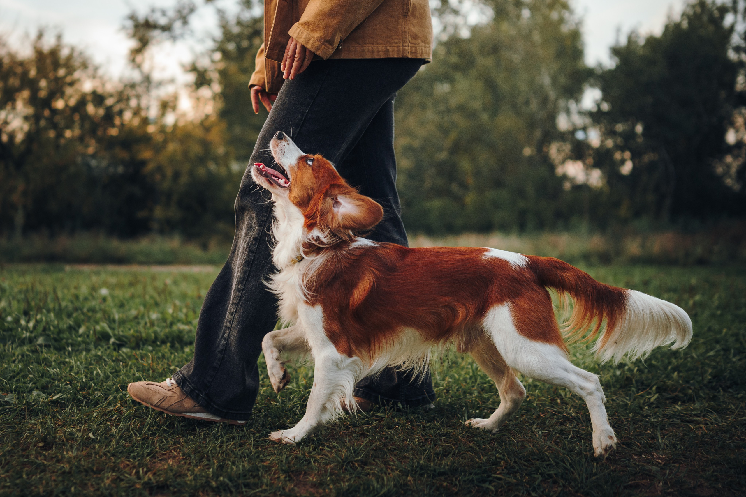 Семейная фотосессия с питомцем. Семейный фотограф анималист Ананьева Мария — Москва