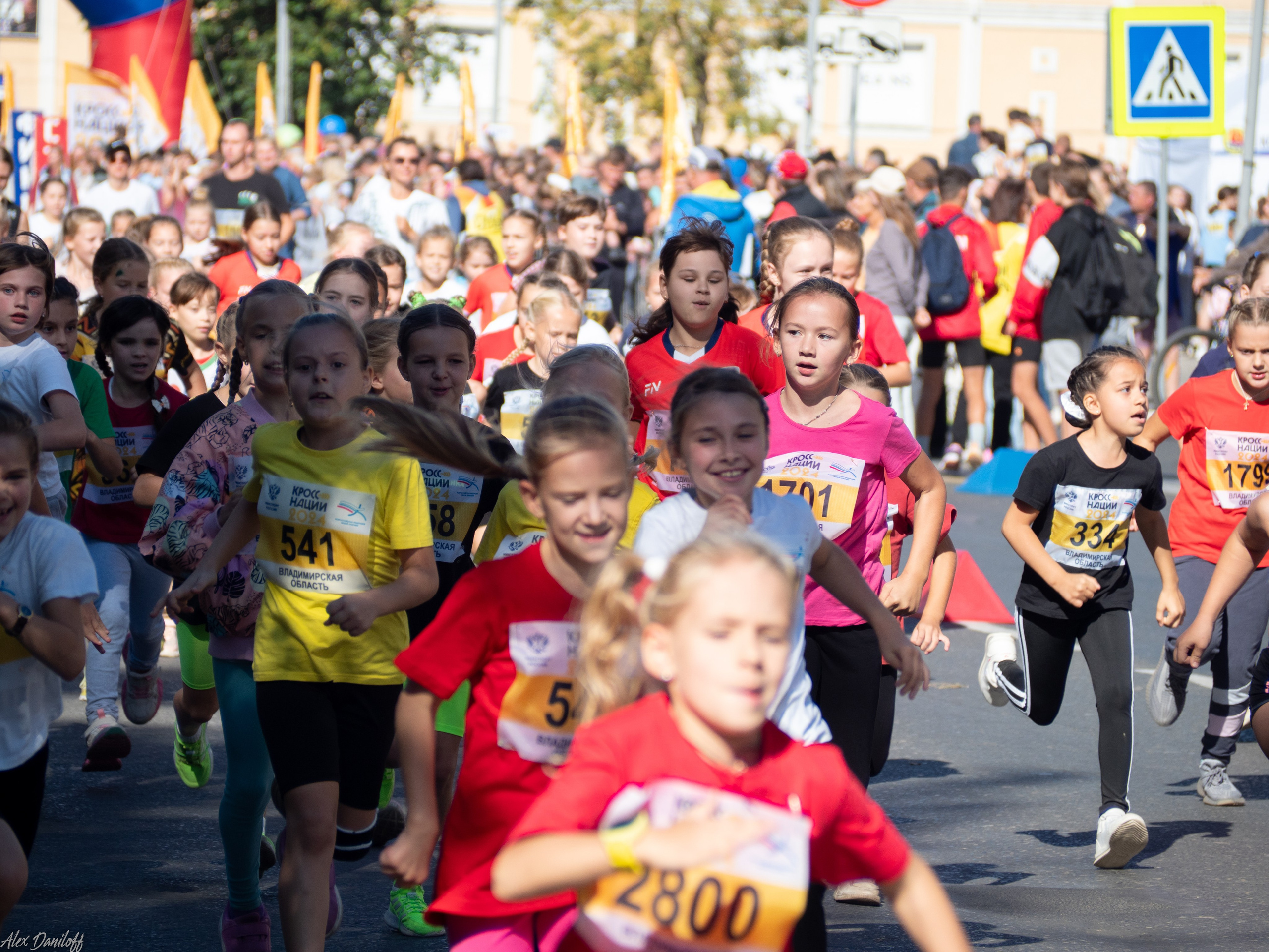 Кросс нации 2024. Муром-Инфо. Новости культуры, образования, спорта в городе Муром