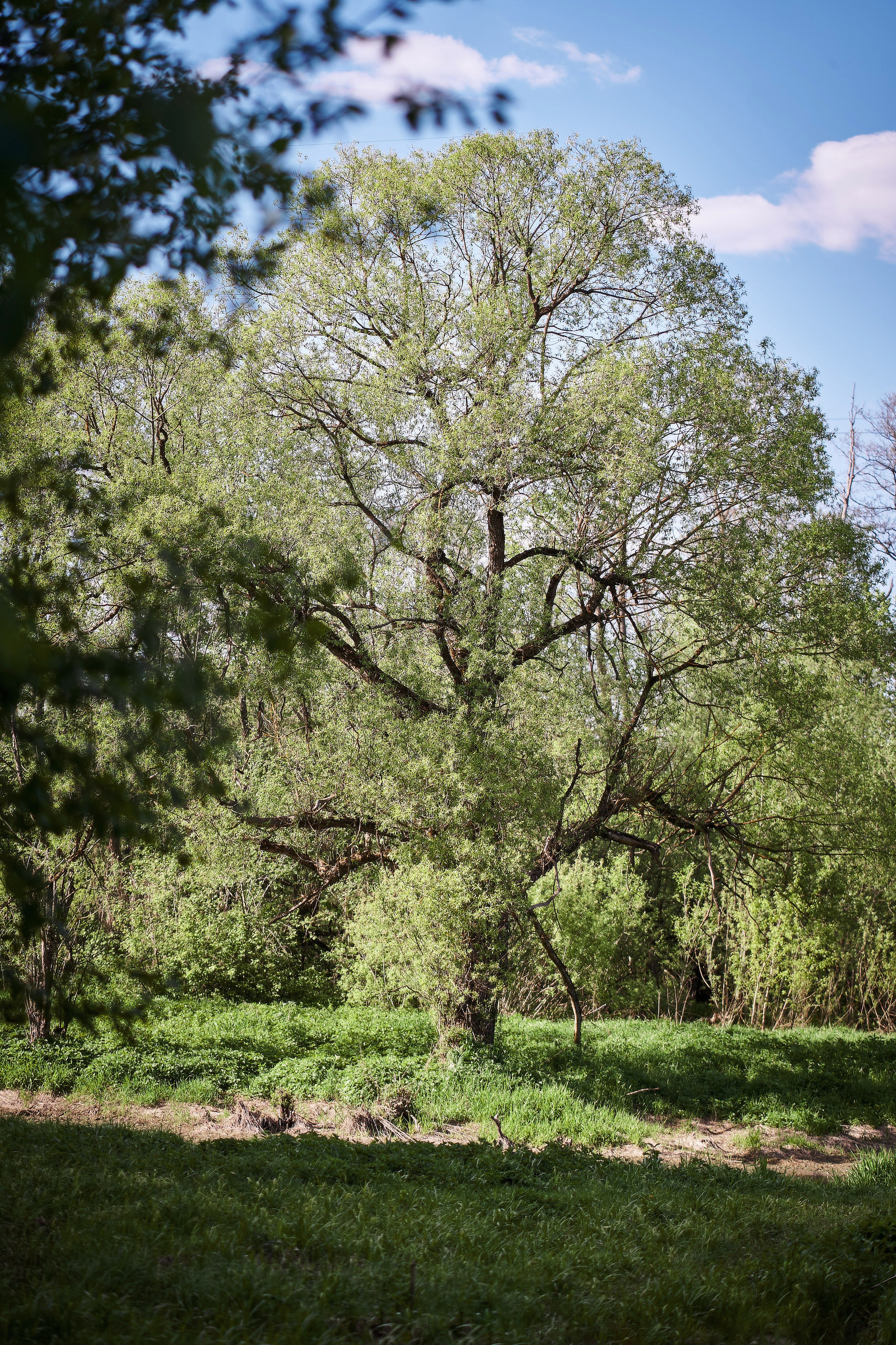 День Рождения в стиле Властелина Колец. Фотограф в Москве Нафиков Руслан. Репортажная съемка, Портрет