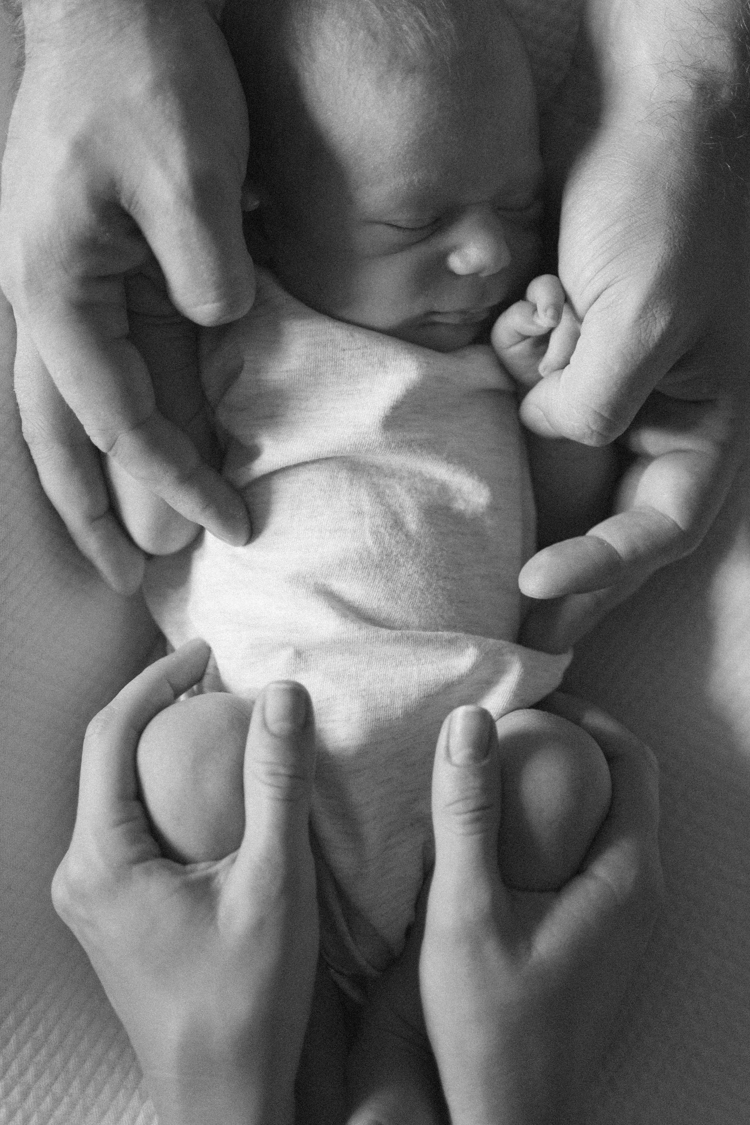 Лев родился