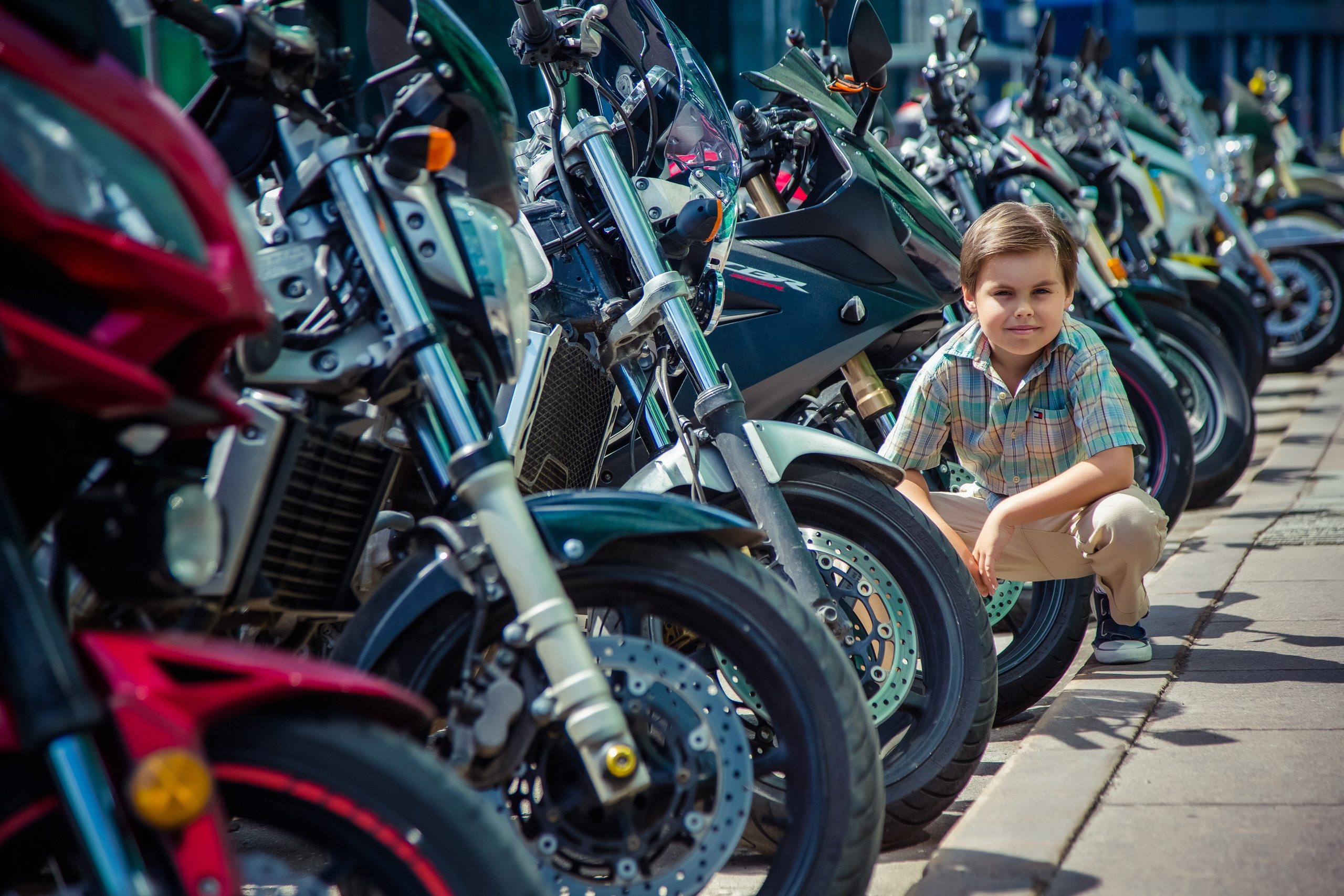 Лев. Свадебный и семейный фотограф в Москве и Подмосковье Лариса Козлова