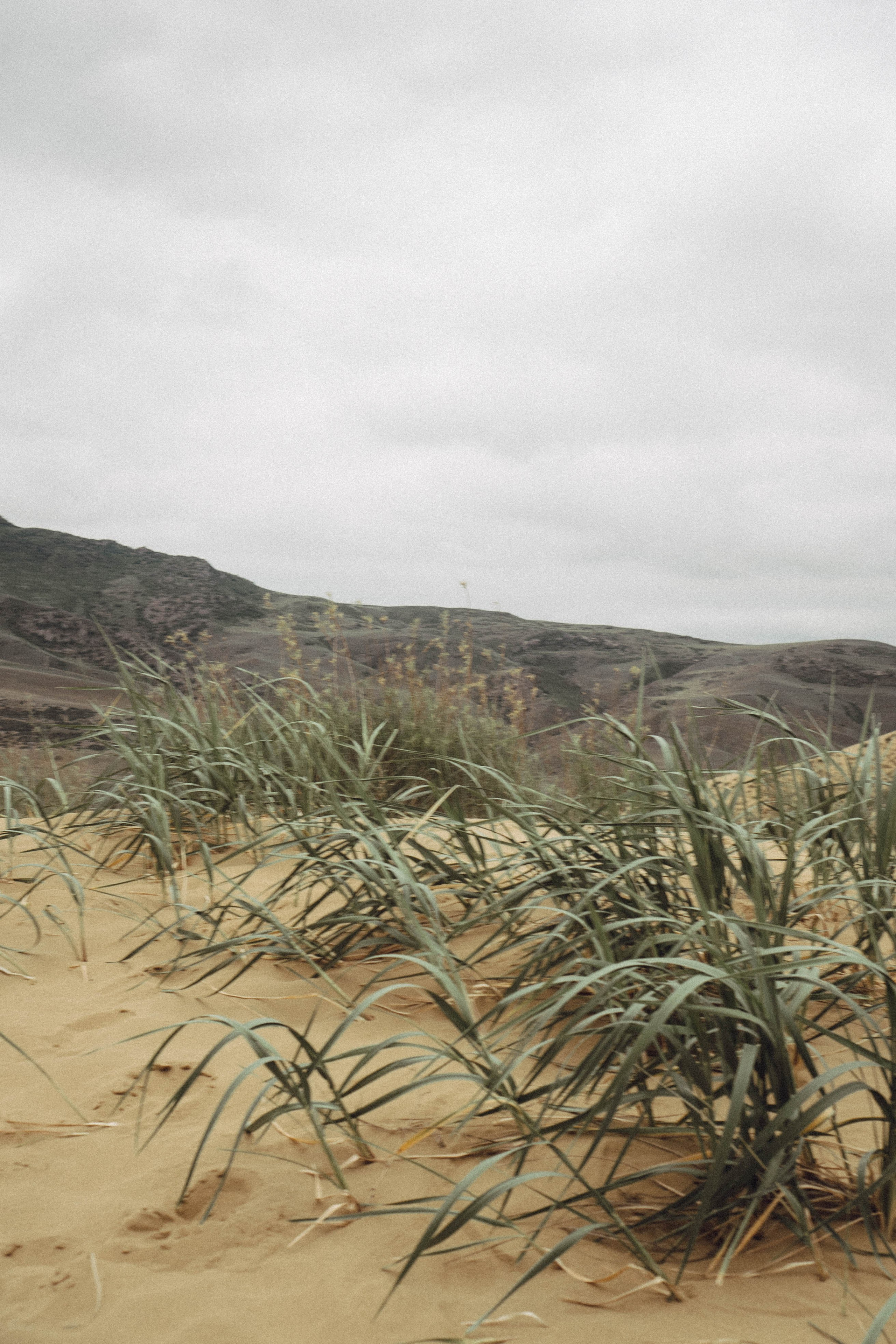 Кавказ. Профессиональный фотограф, Санкт-Петербург — Виктория Богомолова