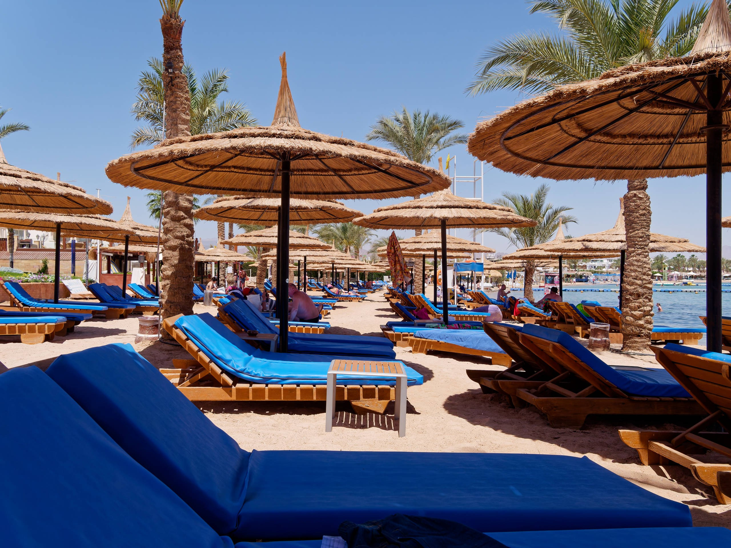 Шарм-эль-Шейх 2022 (1). Избранные фотографии