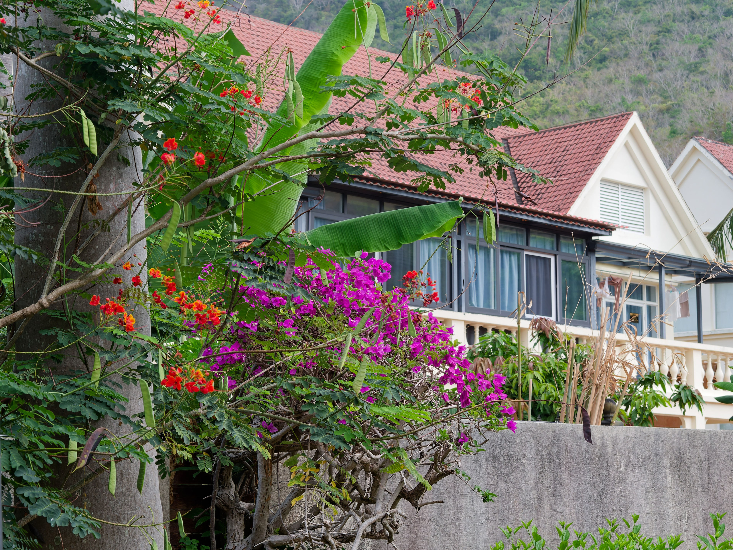 Хайнань 2026, отель «Stony Brook Villa Jianguo Resort Sanya 4*». Фотопрогулки по Миру