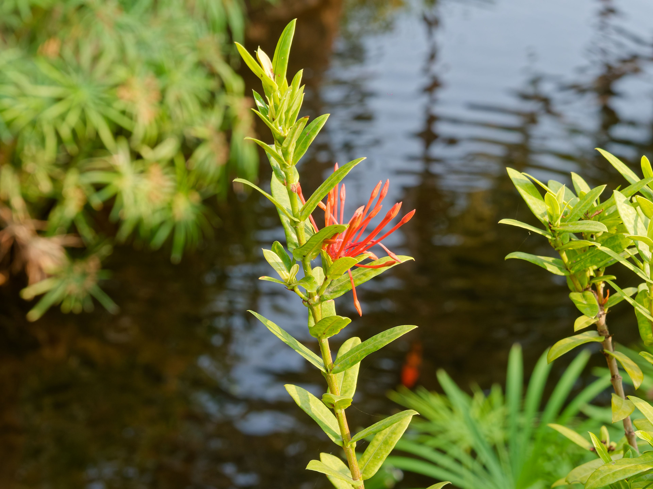 Хайнань 2026, первые впечатления. Фотопрогулки по Миру