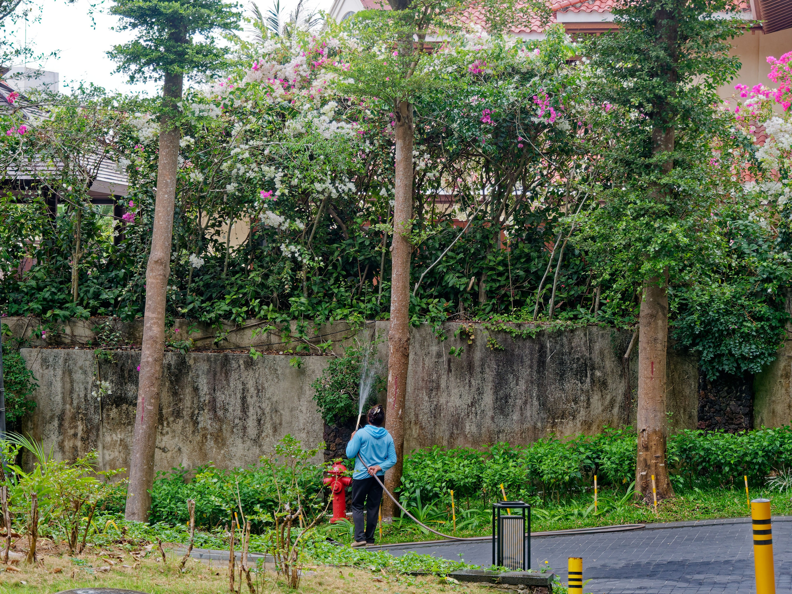 Хайнань 2026, отель «Stony Brook Villa Jianguo Resort Sanya 4*». Фотопрогулки по Миру