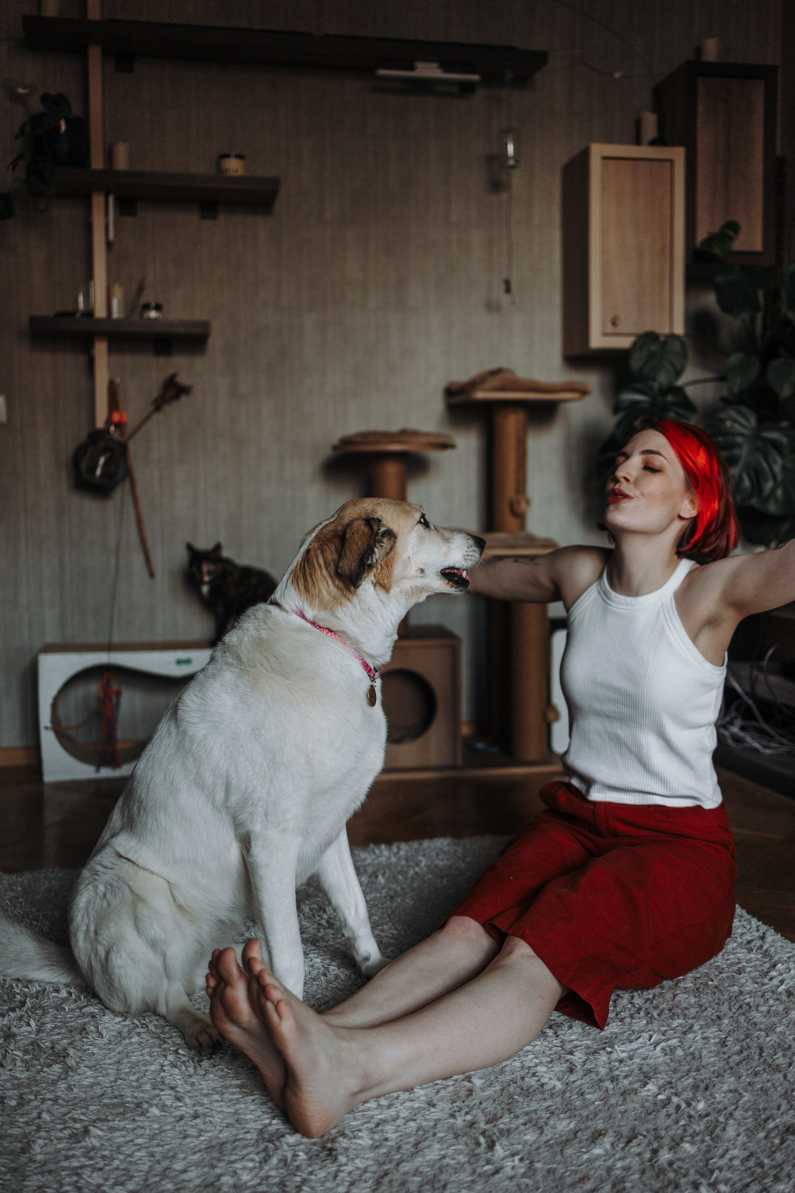 Саша и ее хвосты. Фотограф — Анималист | Санкт-Петербург