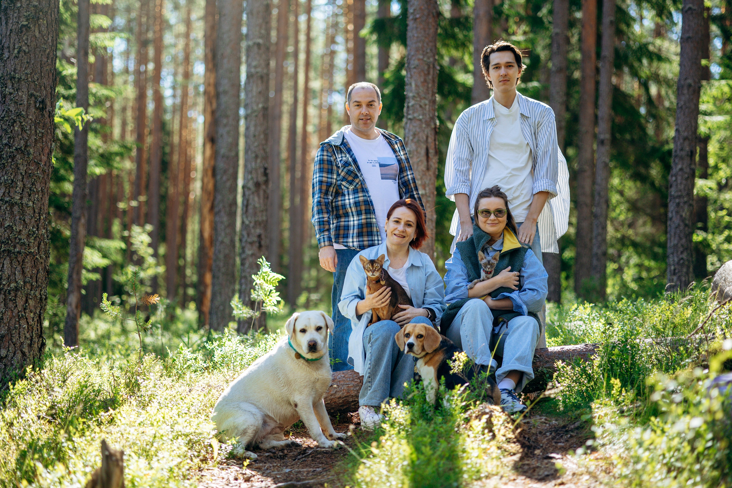 Котофеи и их семья. Фотограф — Анималист | Санкт-Петербург