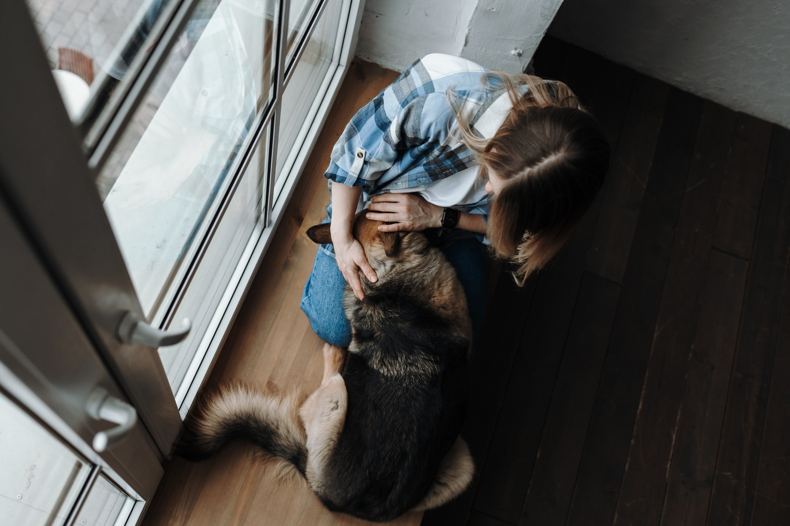 Лена и Дёма. Фотограф — Анималист | Санкт-Петербург