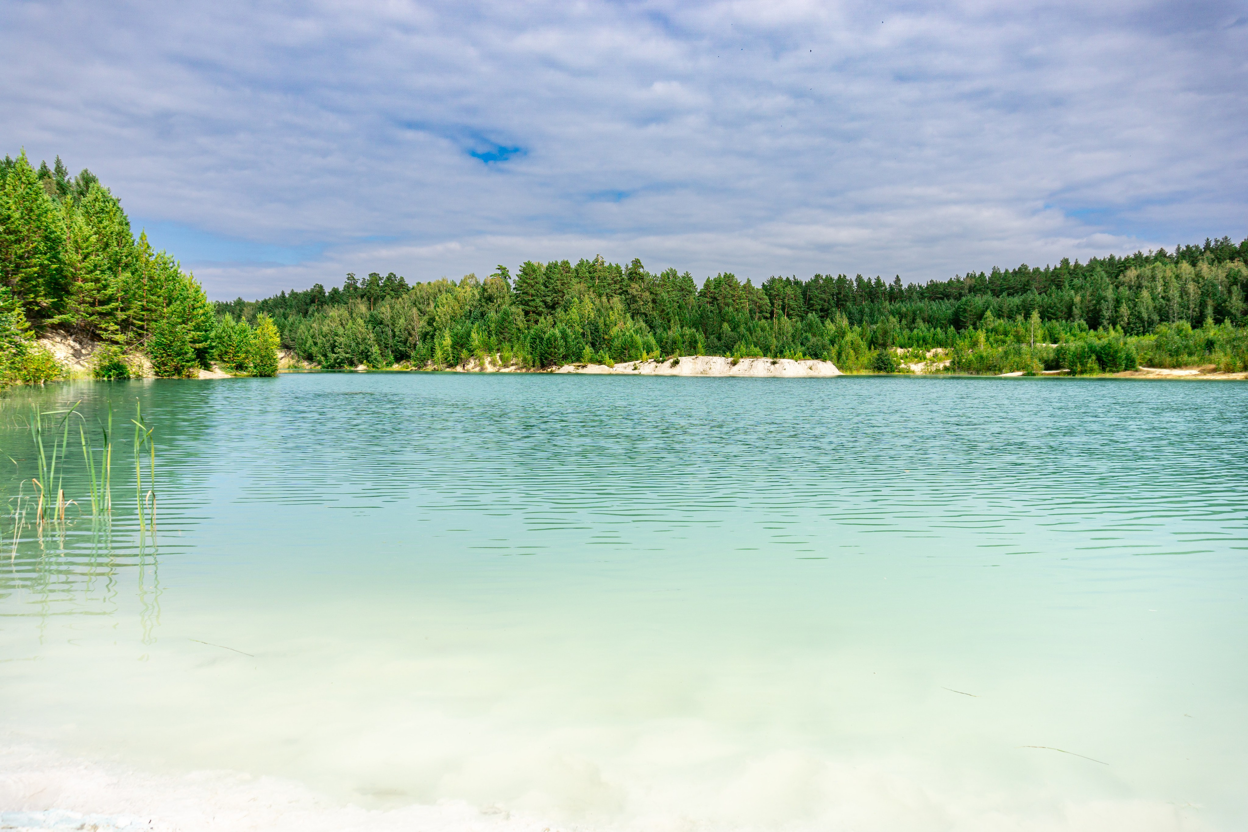 Репортаж/Портреты. …