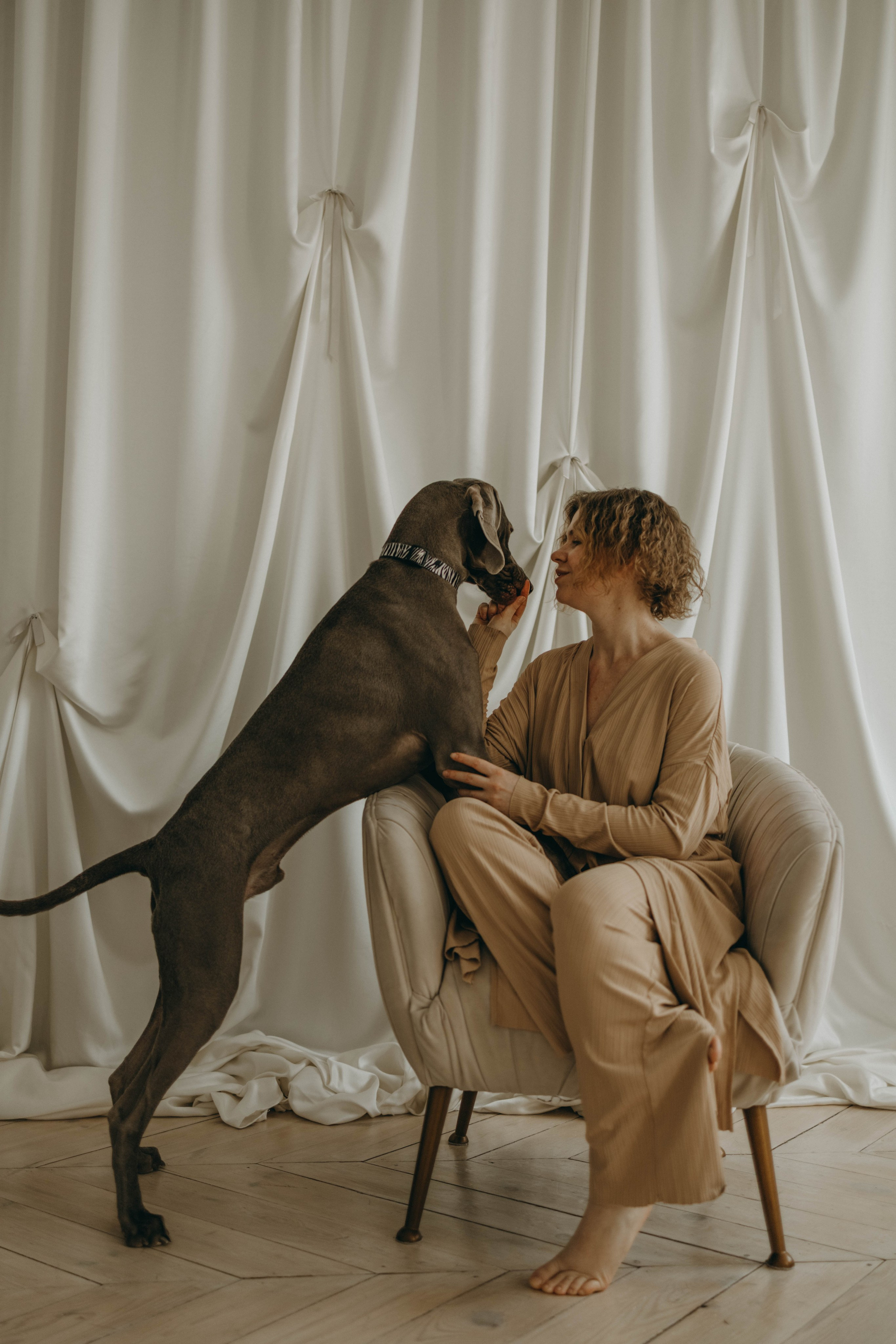 Фотосессия в студии с собакой. Фотограф-анималист в Екатеринбурге | Кристина