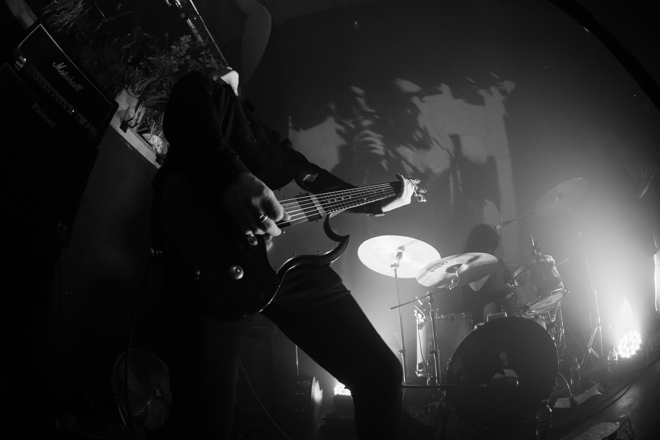 Шторм|Ласточка. Концертный и репортажный фотограф в Санкт-Петербурге Слава Пахомов