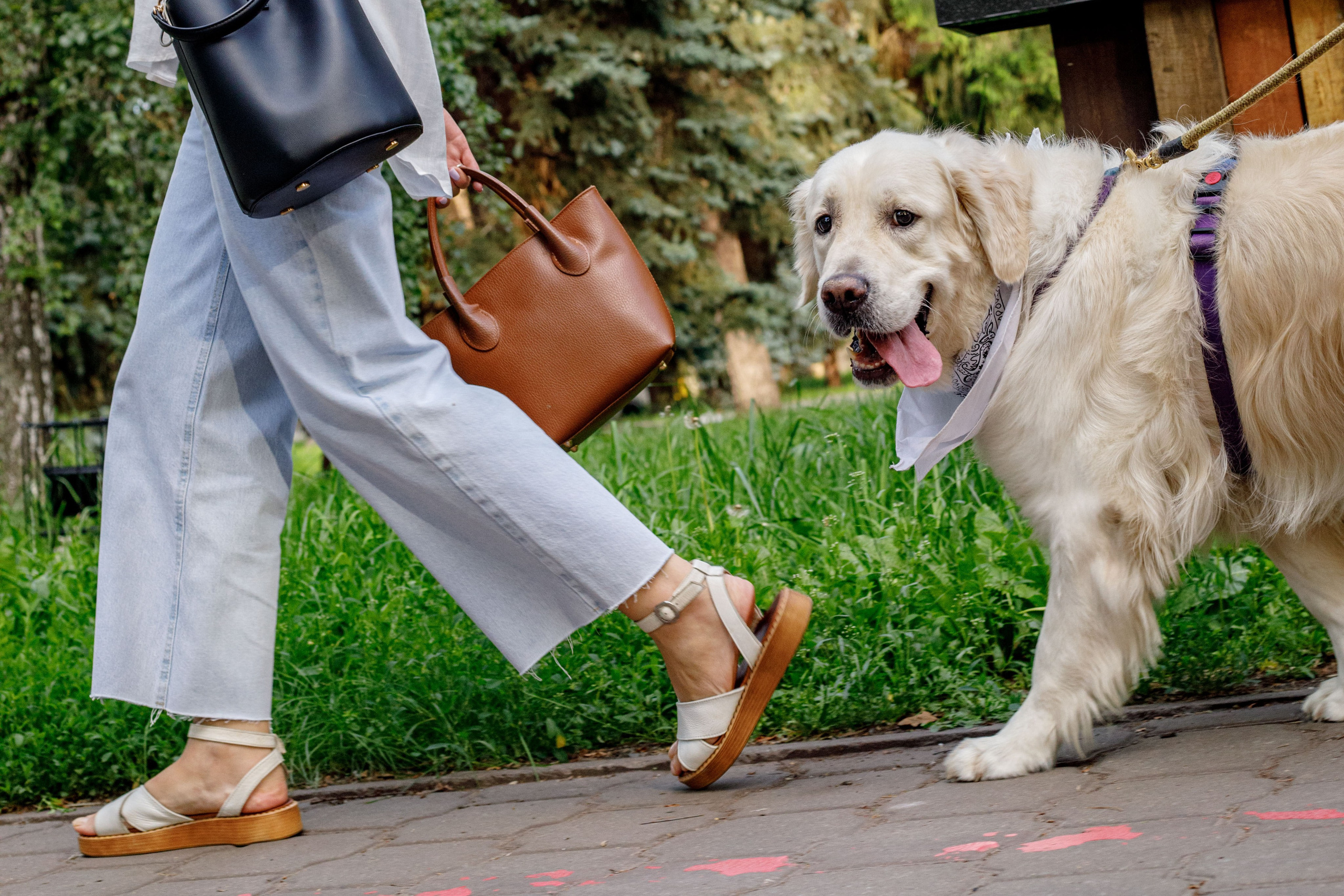 Золотистый ретривер и его хозяки. Фотограф Екатерина Козловская