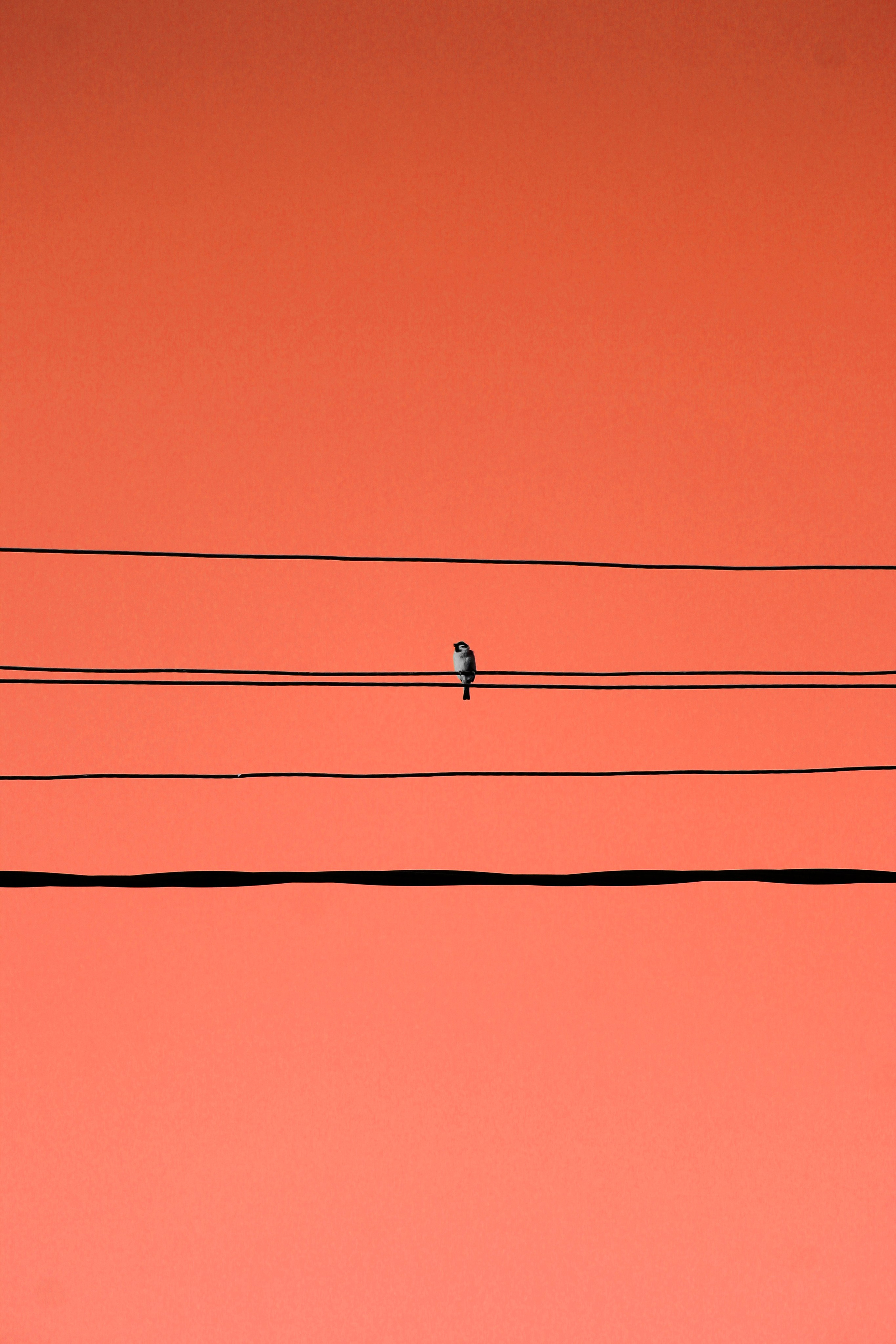 Мои первые работы. Фотограф из Москвы — DASHA NOVA | Авторская фотография в разных жанрах