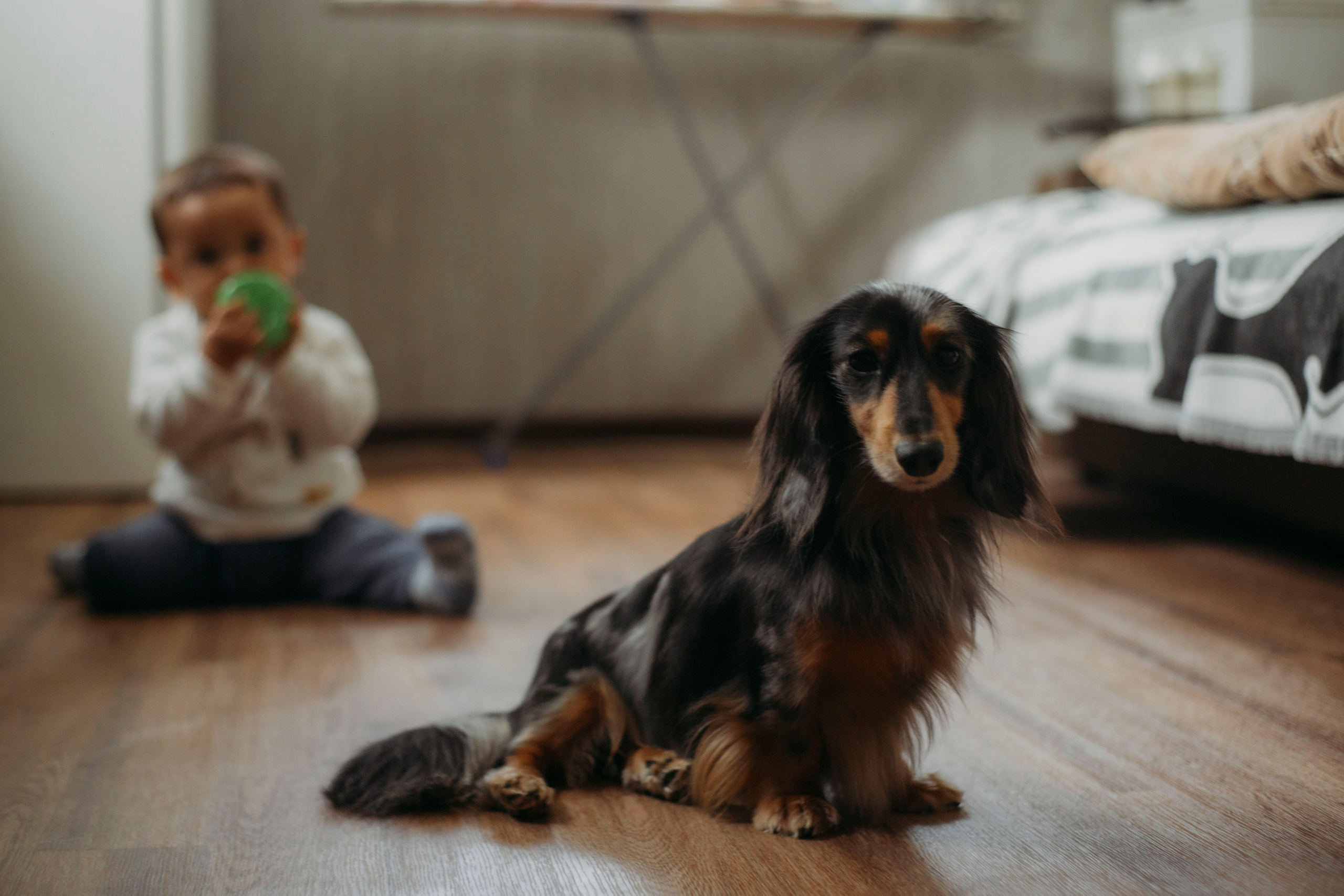 Семейная фотосессия. Фотограф Виктория Куприянова
