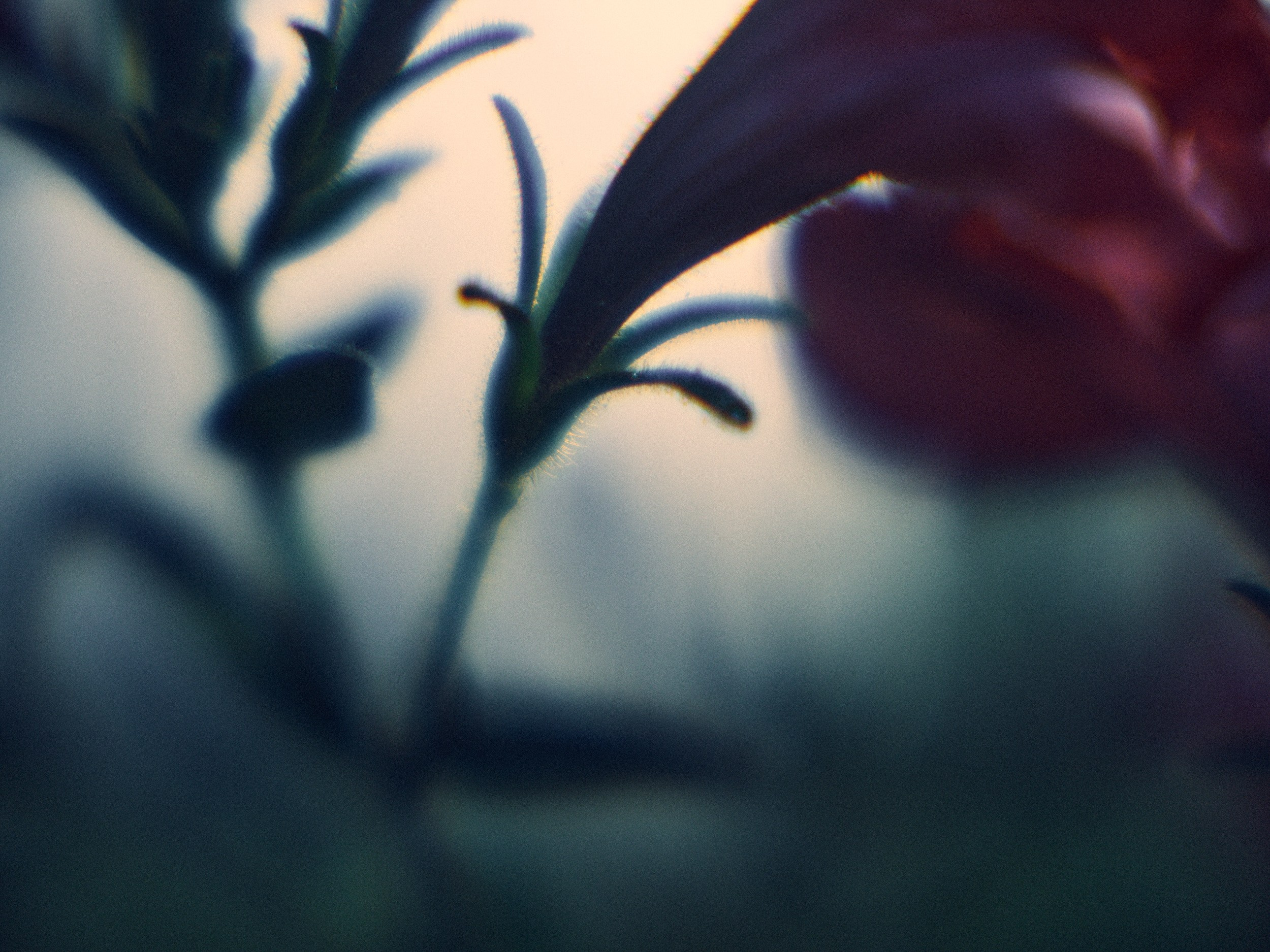 Фотограф Юлия Глазкова