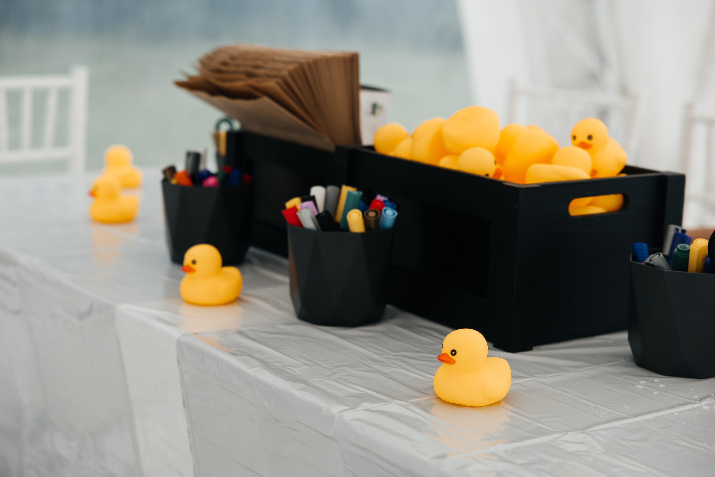 Регаты. Репортажный и свадебный фотограф Катерина Потапова