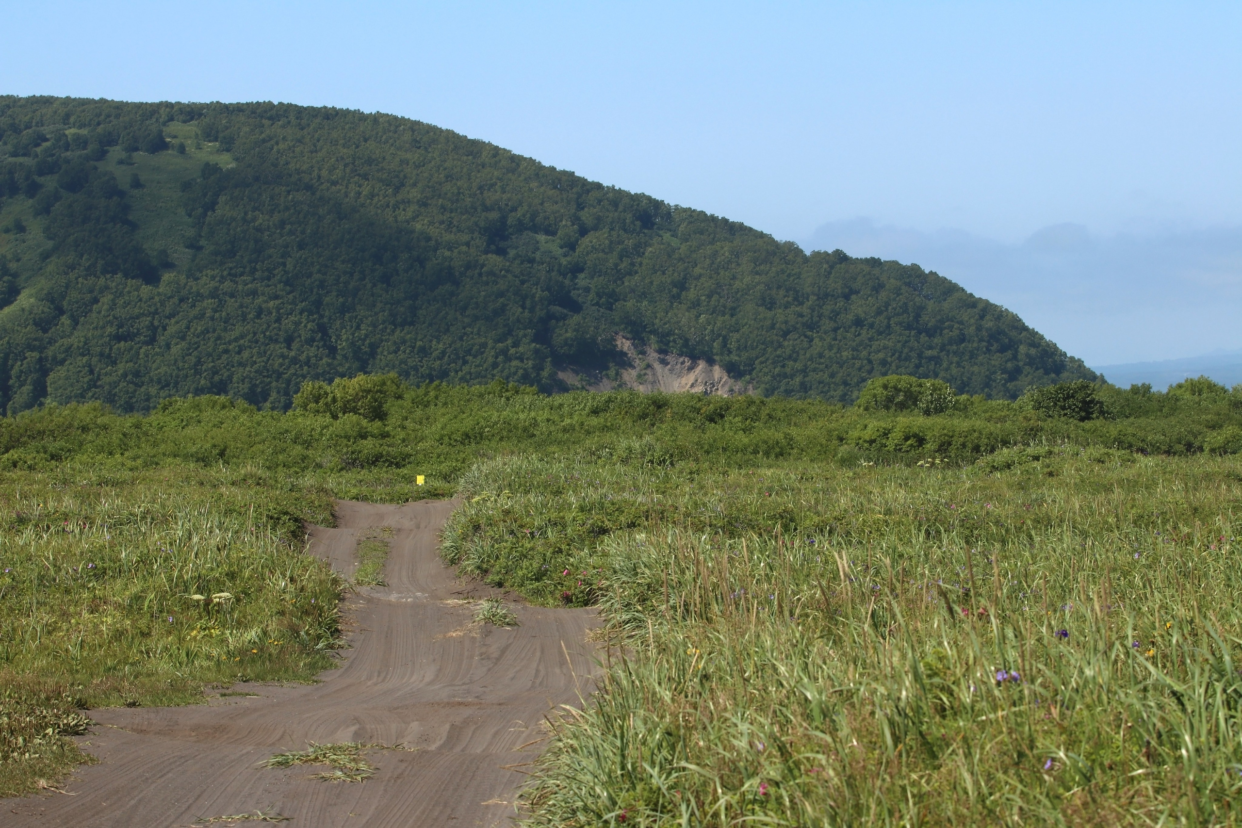 Камчатка и о. Парамушир. Июль 2024. Путешественник-фотограф из Санкт-Петербурга Татьяна Свистулина