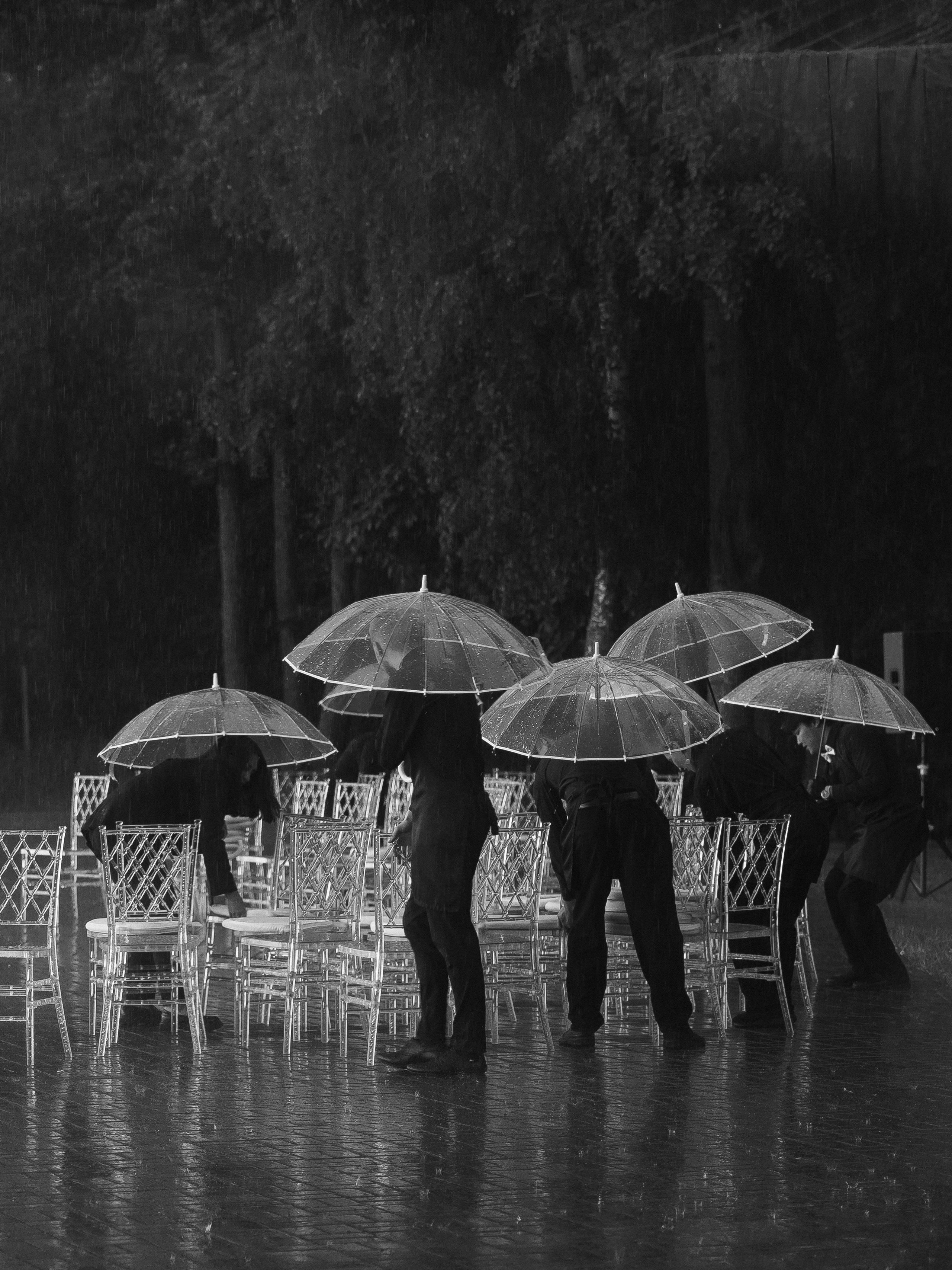 Павел и Анастасия. Свадебное агентство Amorewed Agency