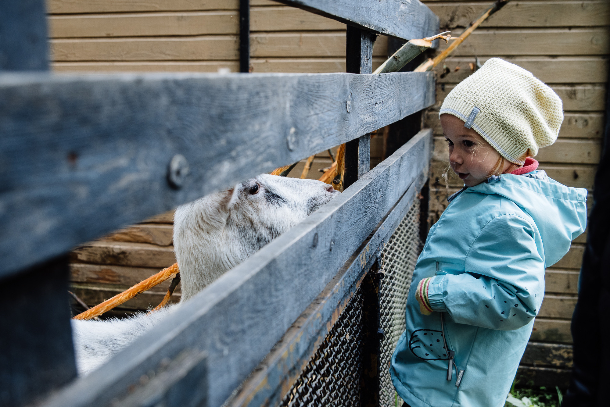 Семейная съёмка, к которой никто не был готов. Фотограф Денис Неместо, портрет, репортаж