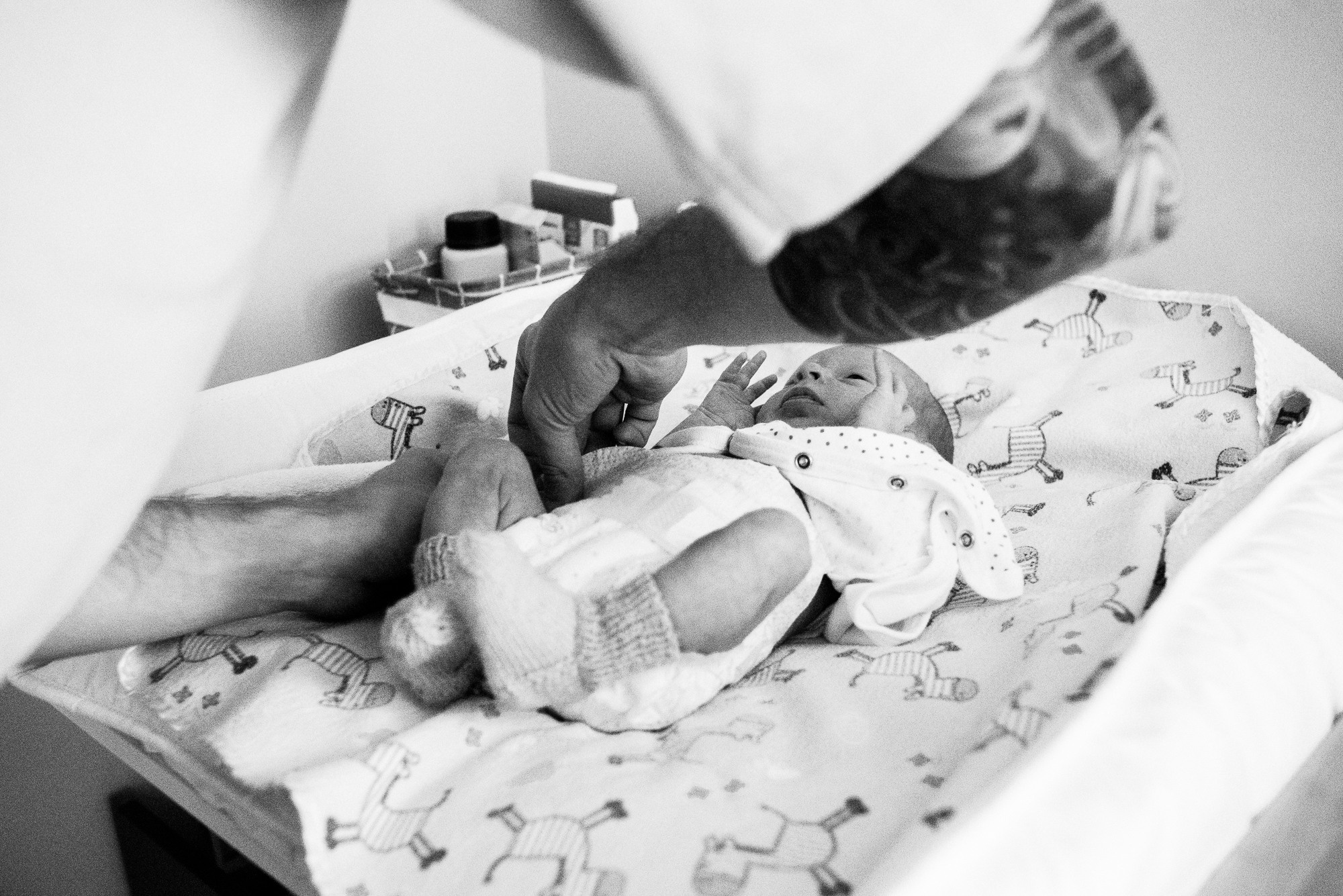 5 stars family. Фотограф Денис Неместо, портрет, репортаж