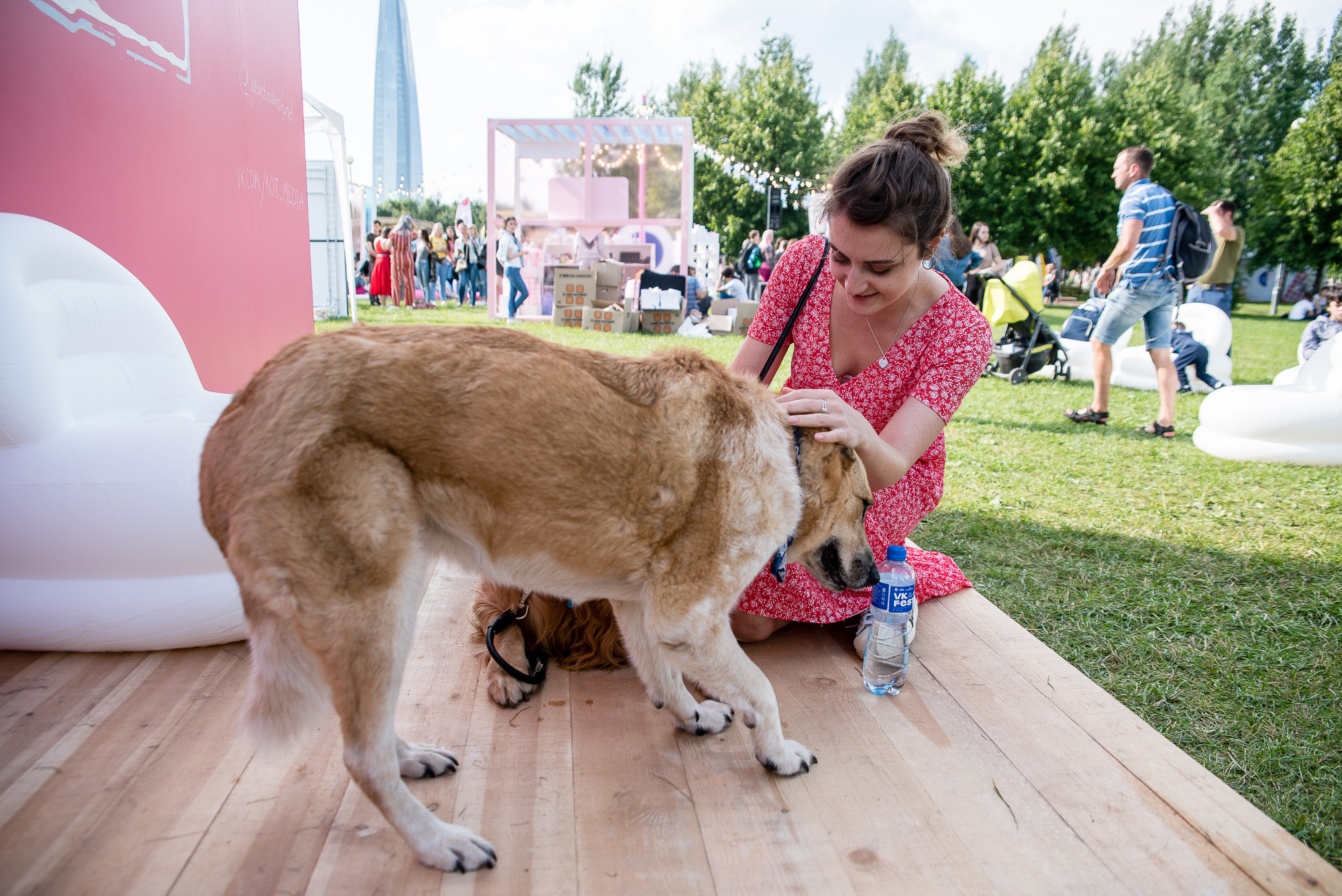 VK Fest 2019. Фотограф Денис Неместо, портрет, репортаж