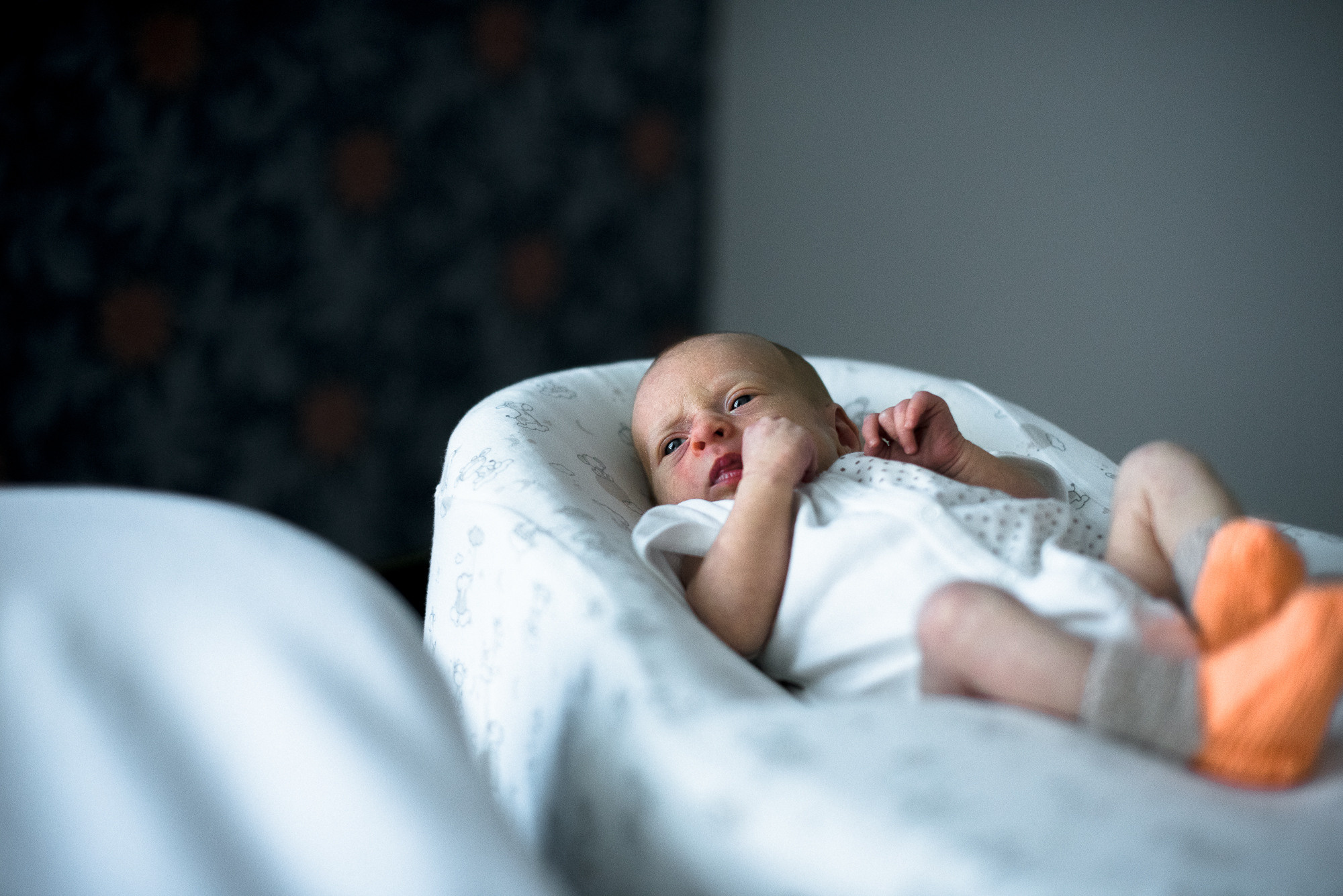 5 stars family. Фотограф Денис Неместо, портрет, репортаж