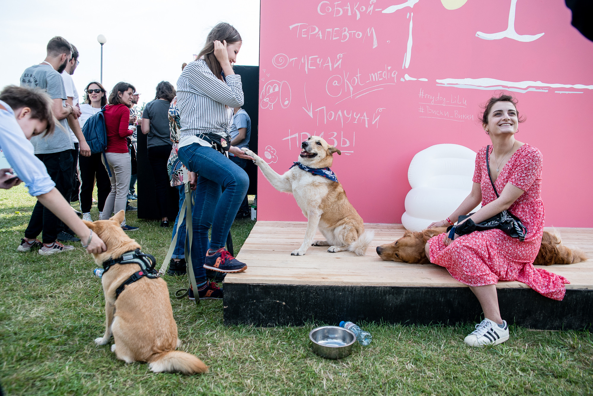 VK Fest 2019. Фотограф Денис Неместо, портрет, репортаж