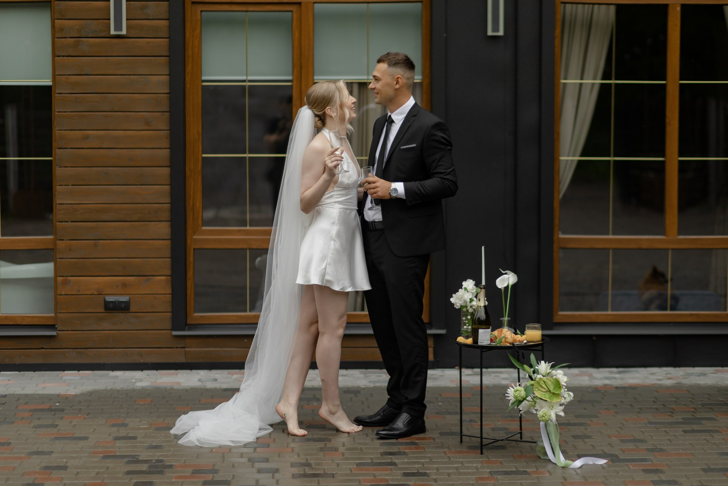 Свадьба пес и котики. Dima Lemeshevsky