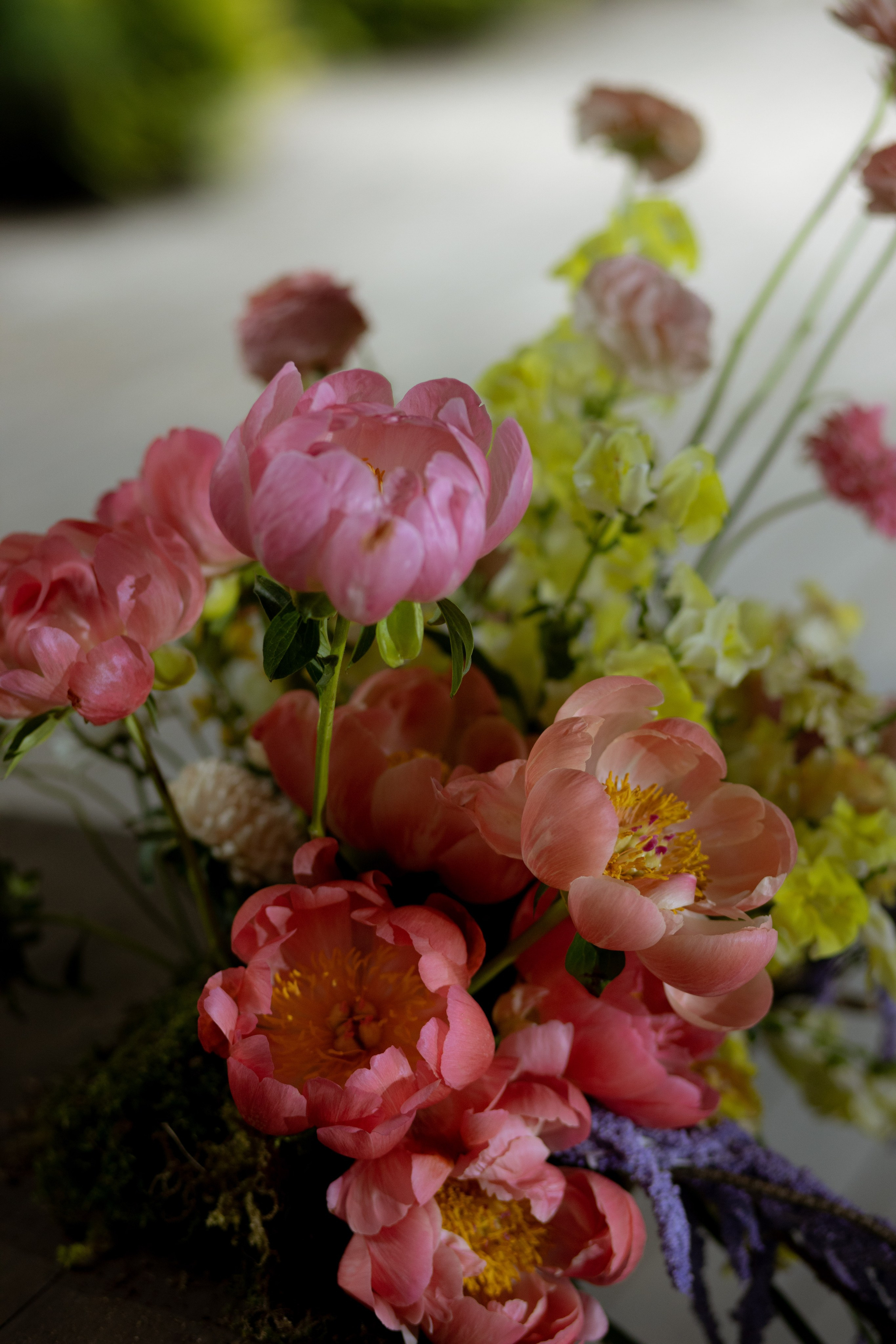 Павел & Полина. Оформление свадеб, декор свадеб Вера Маркова, Москва