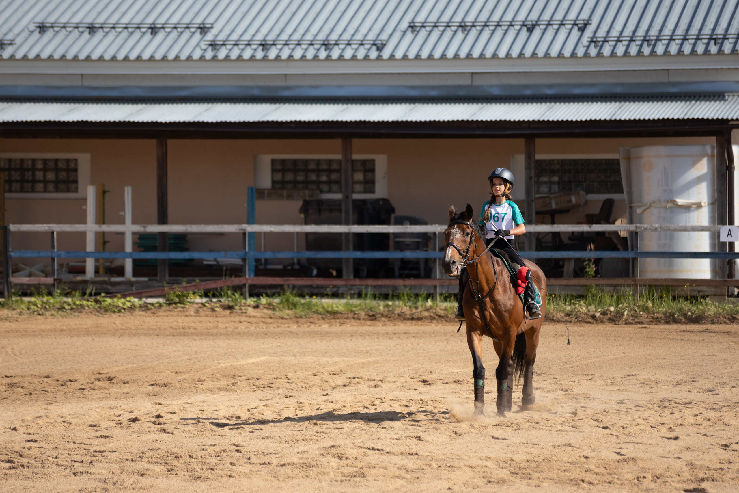 Конюшня. Фотограф в Москве и Истре