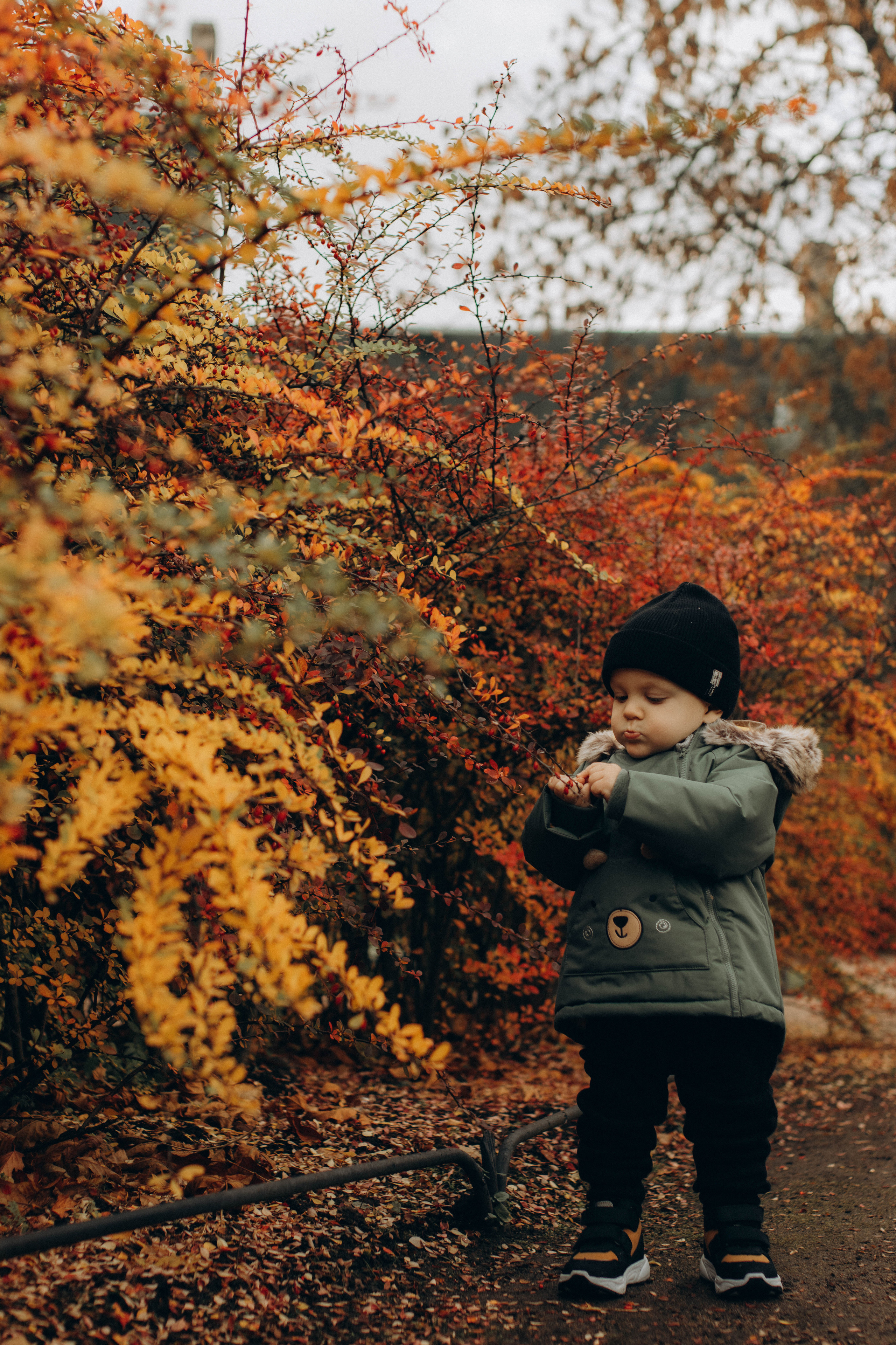 Все вместе. Фотограф в Санкт-Петербурге Ольга Гиляревская