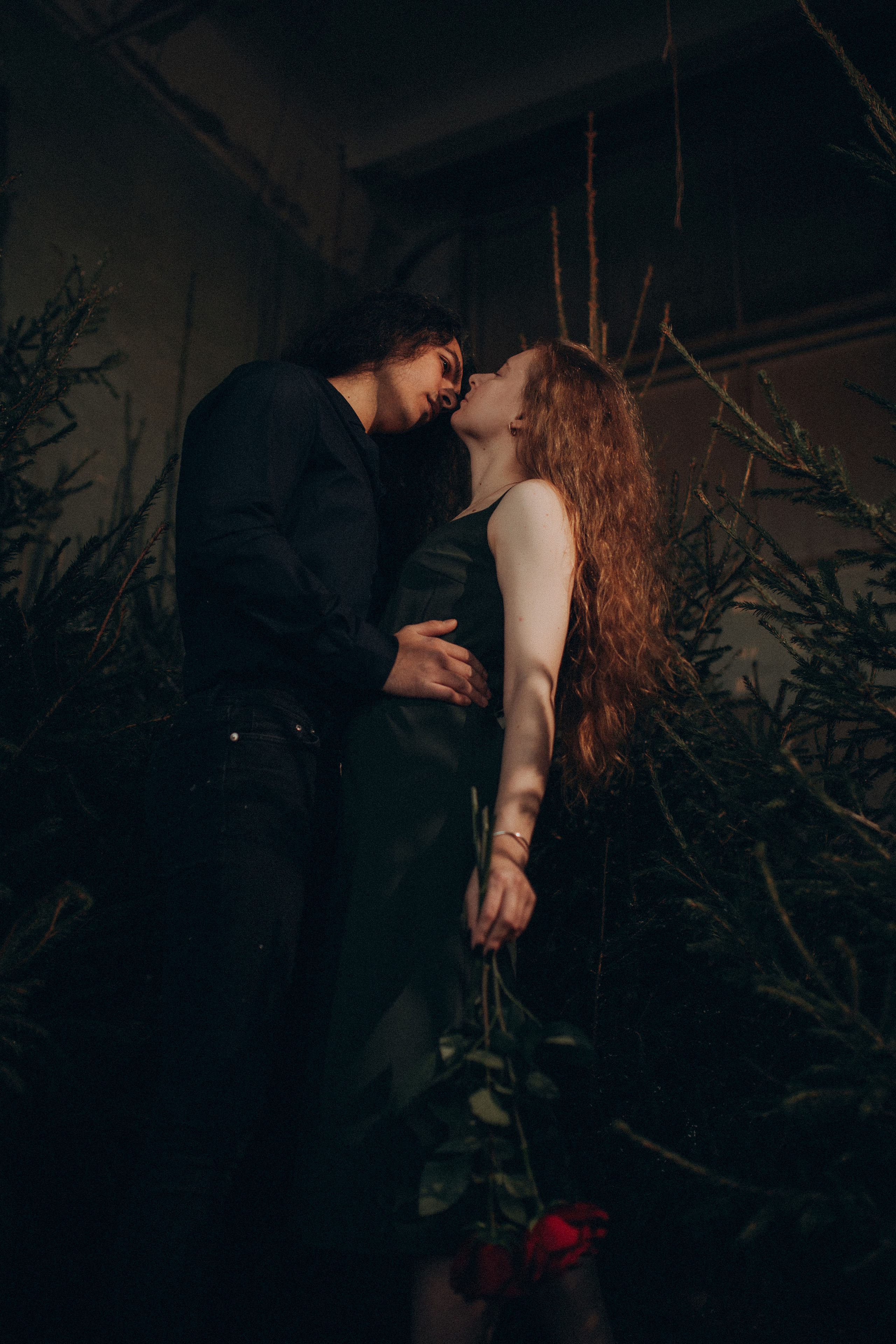 Зимний лес. Фотограф в Санкт-Петербурге Ольга Гиляревская