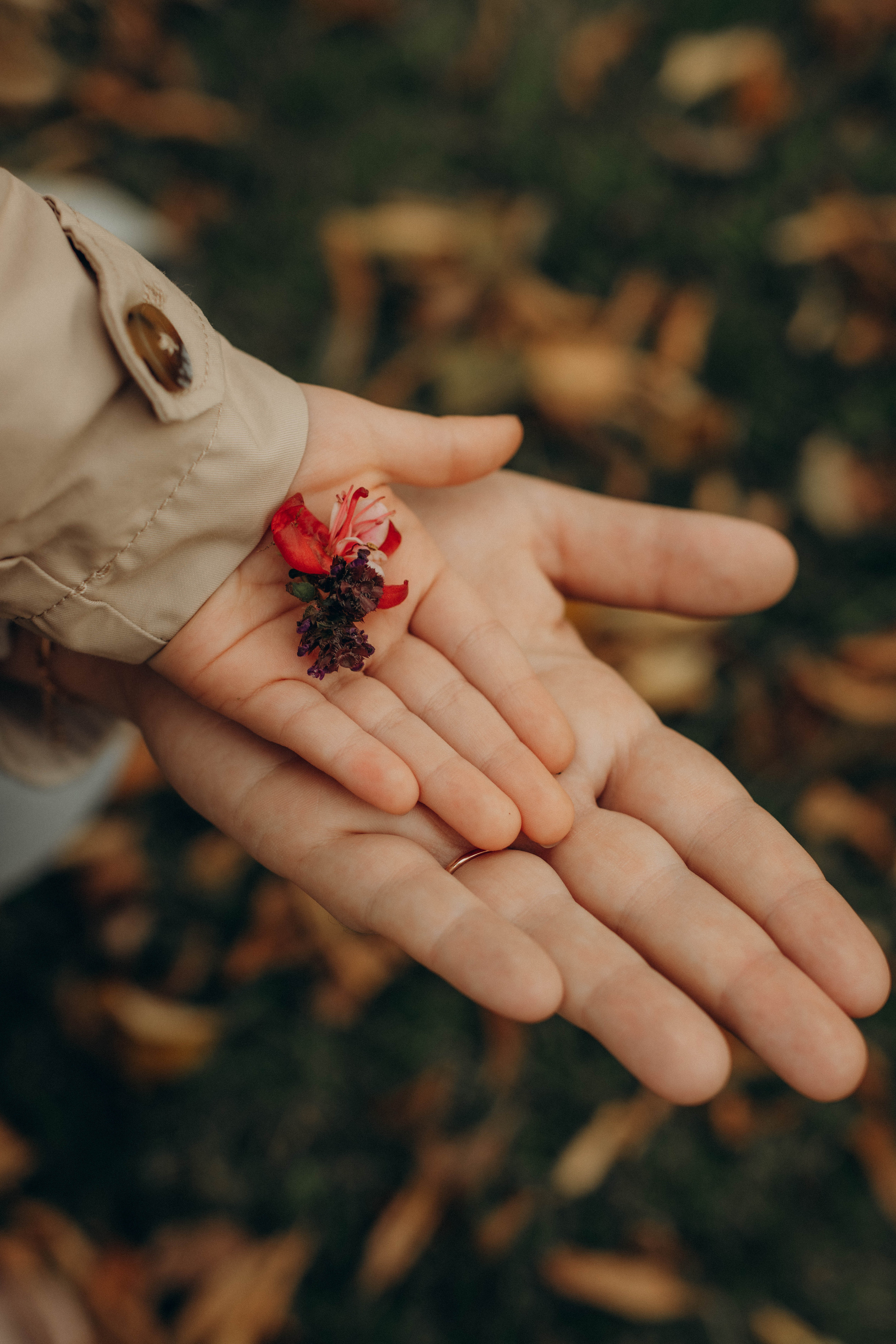 Все вместе. Фотограф в Санкт-Петербурге Ольга Гиляревская