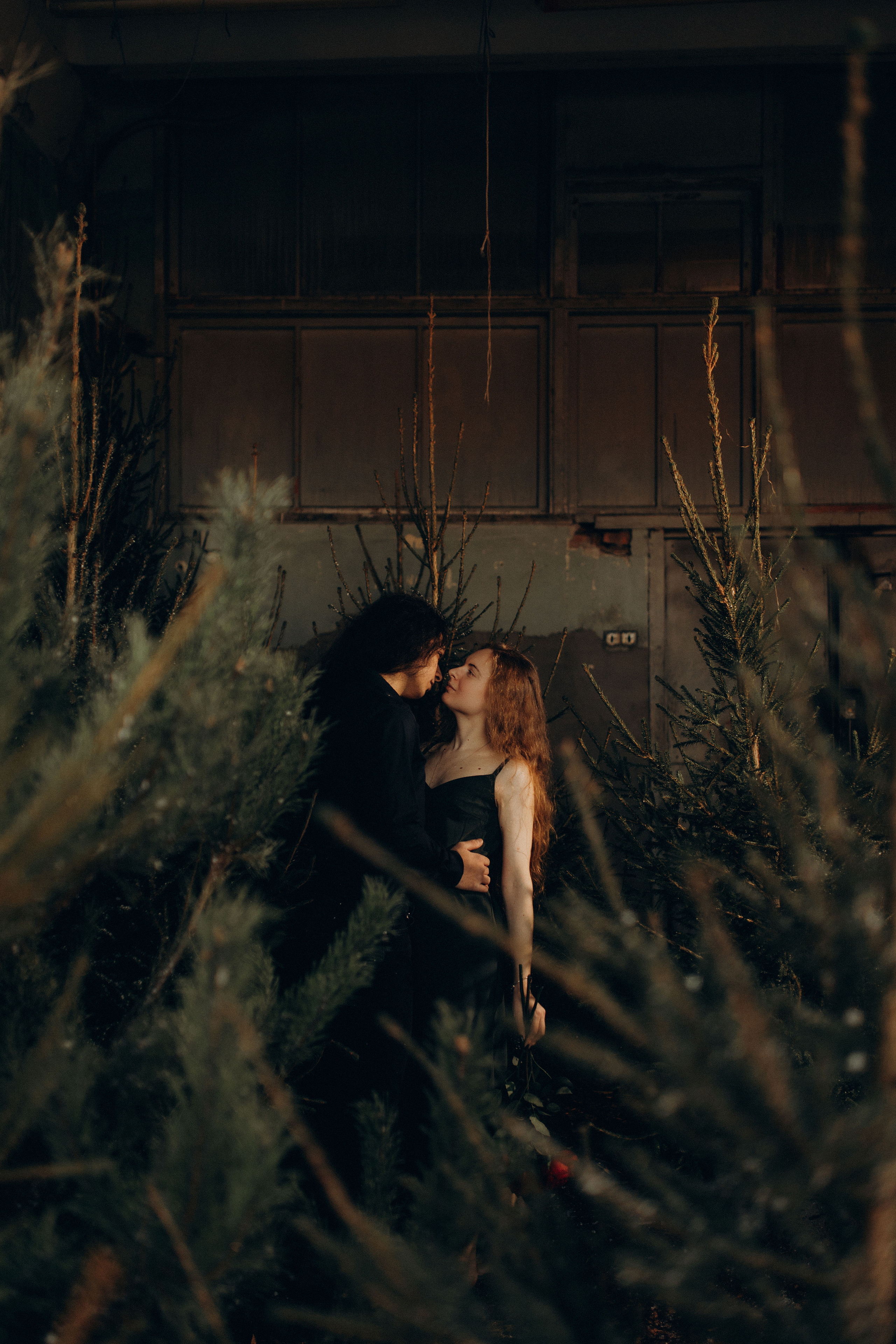 Зимний лес. Фотограф в Санкт-Петербурге Ольга Гиляревская