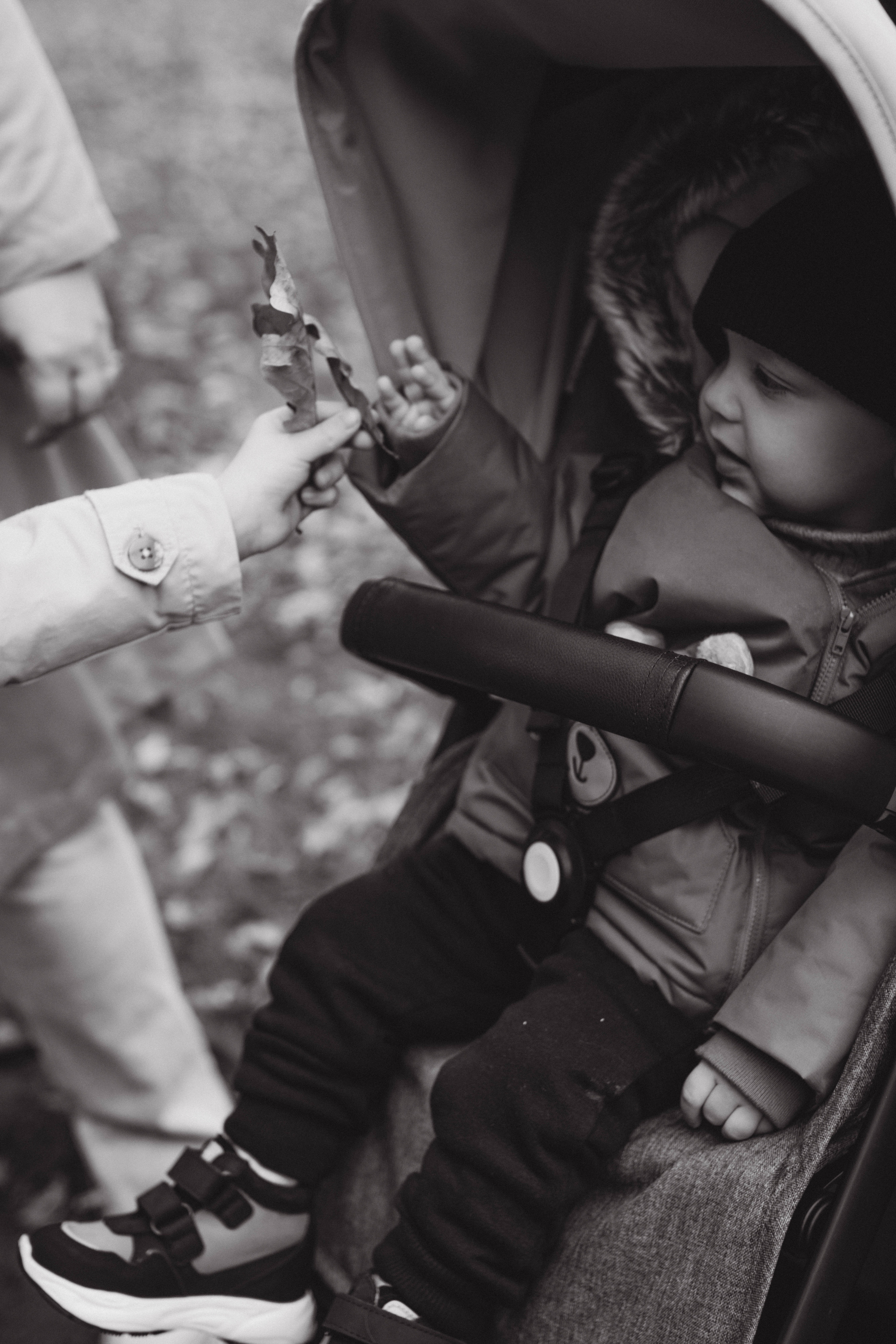 Все вместе. Фотограф в Санкт-Петербурге Ольга Гиляревская
