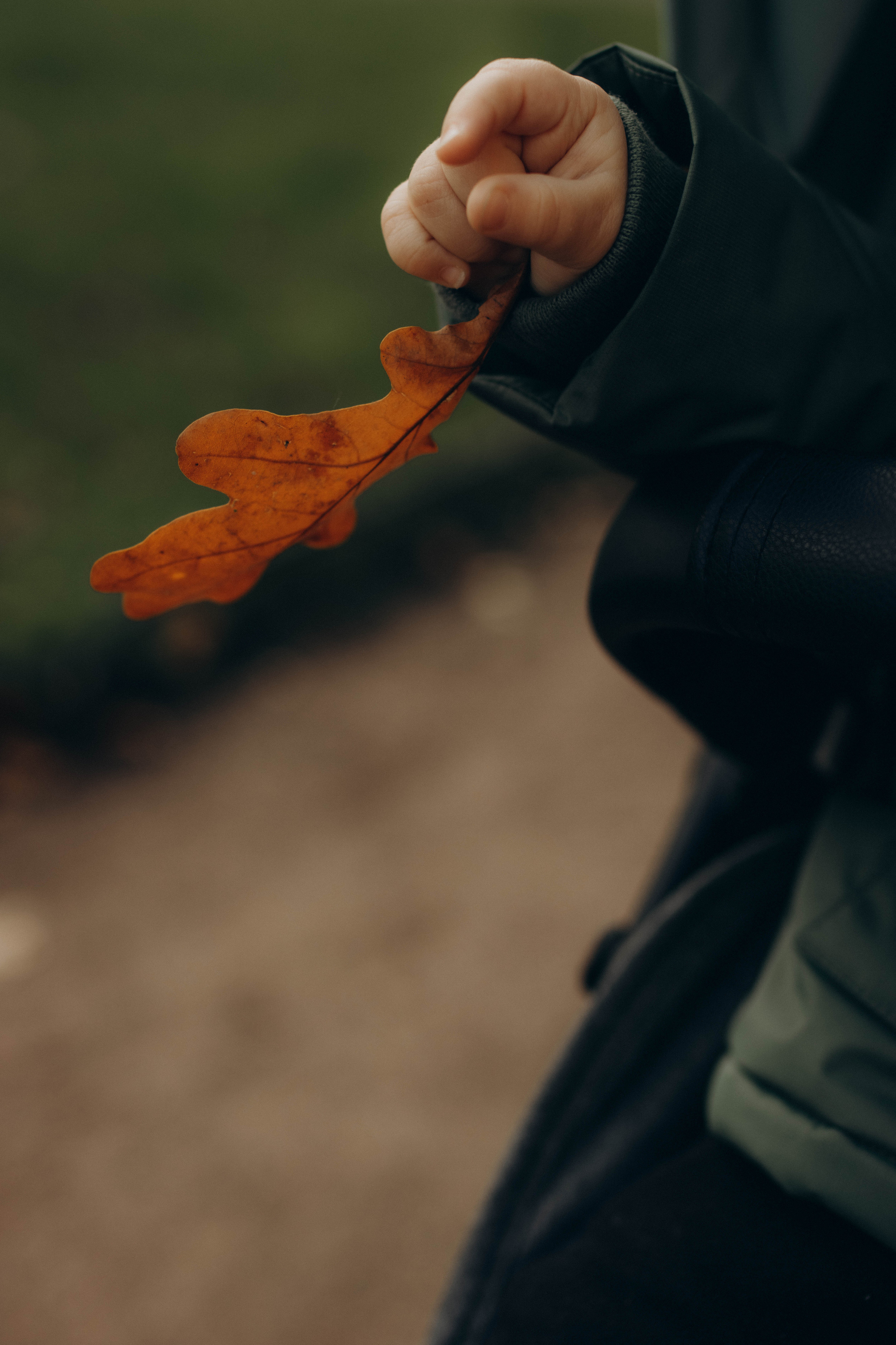 Все вместе. Фотограф в Санкт-Петербурге Ольга Гиляревская