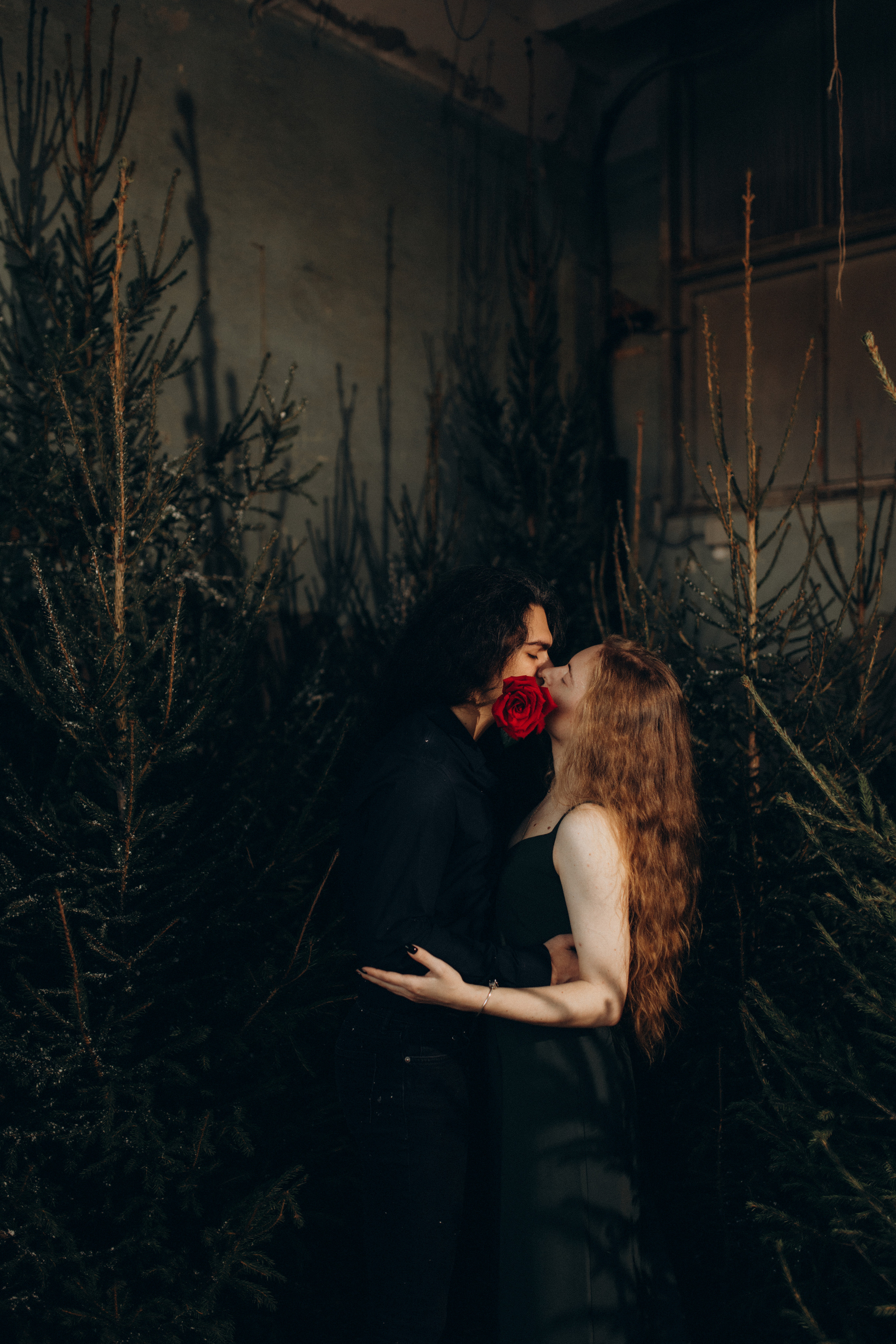 Зимний лес. Фотограф в Санкт-Петербурге Ольга Гиляревская