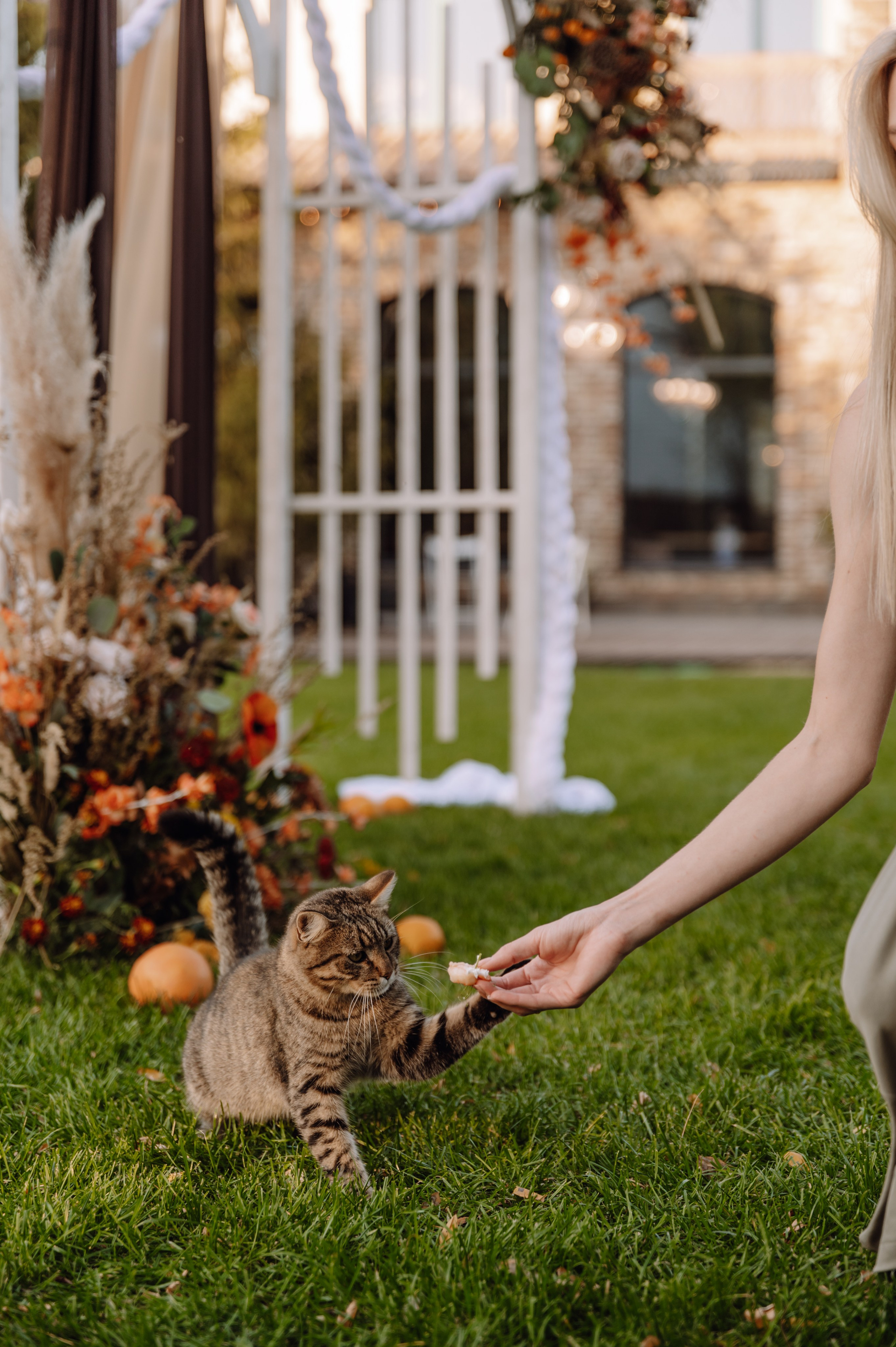 Усадьба. Свадебный и семейный фотограф Анастасия Снежная